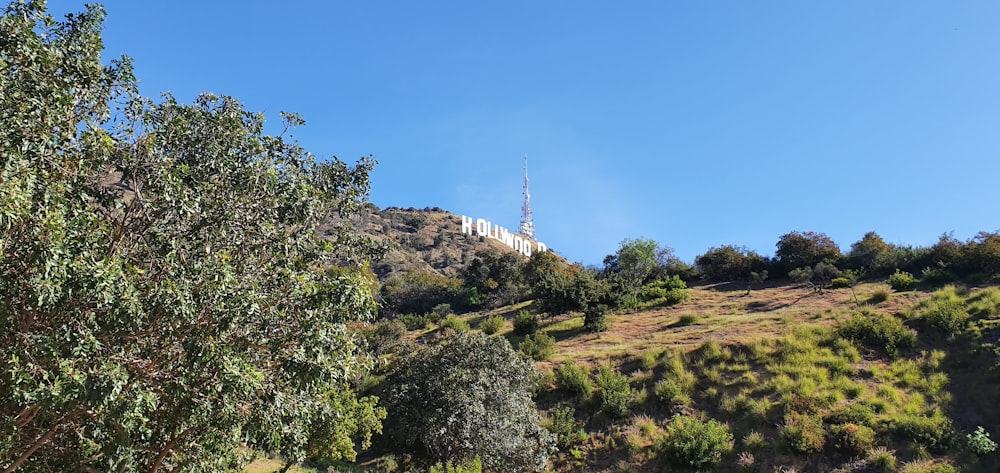 green trees on brown mountain under blue sky during daytime