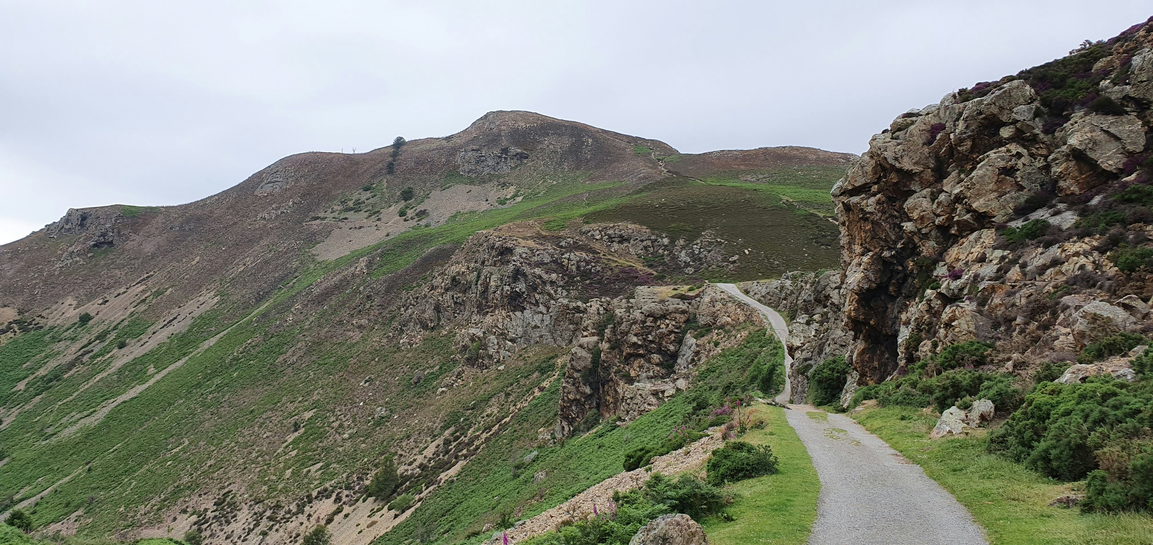 green and brown mountain under white sky during daytime