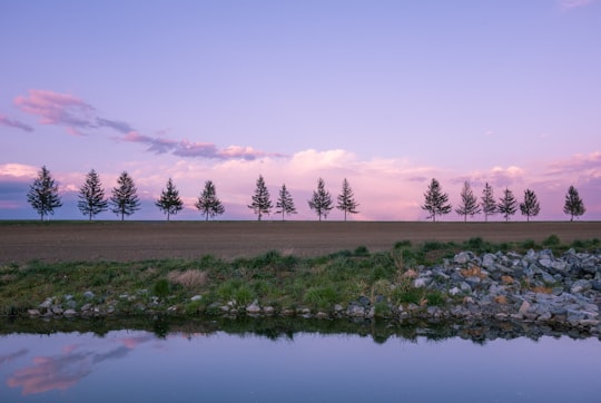 green grass field near lake during daytime in Torony Hungary