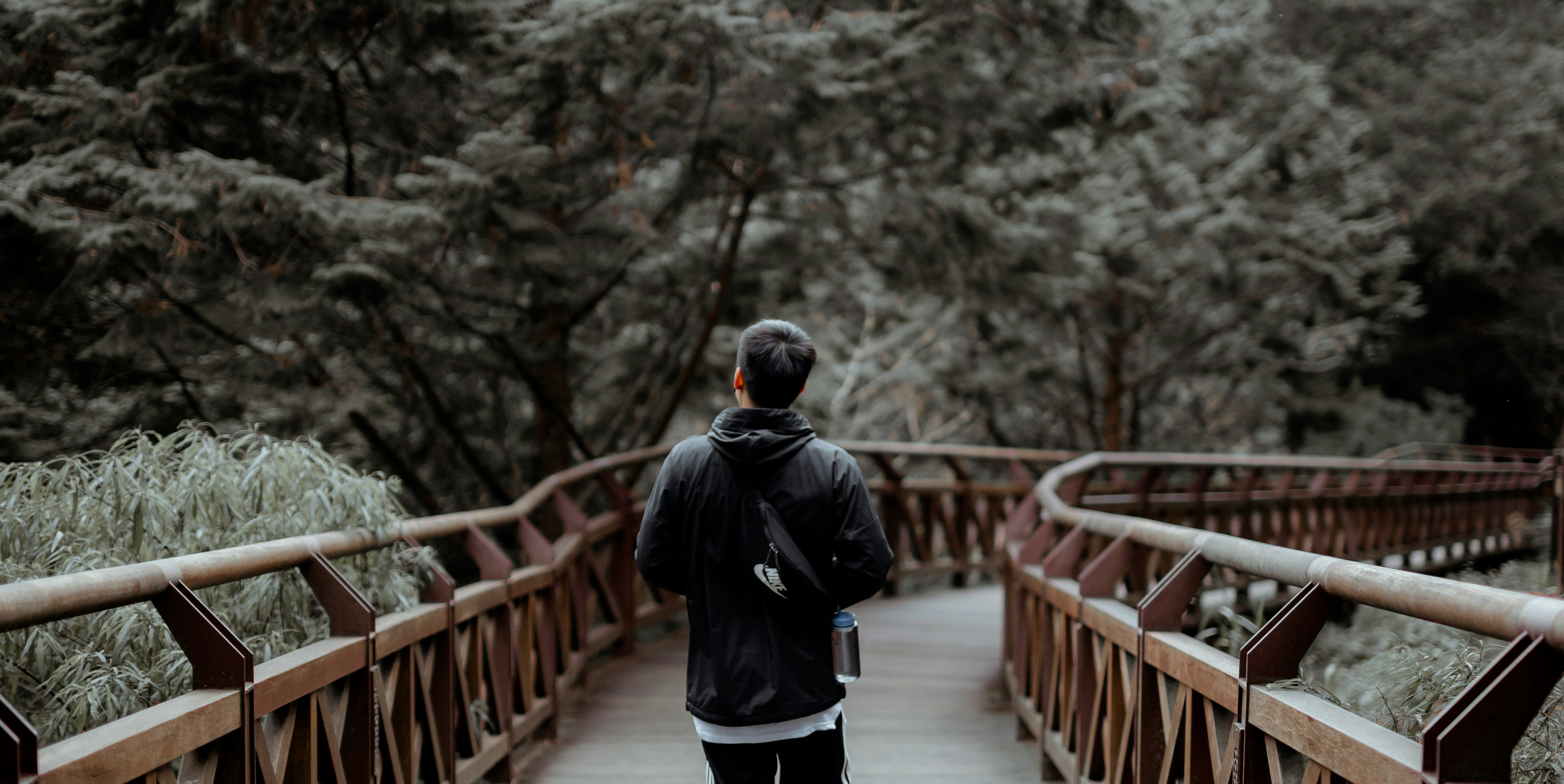 #alishan #taiwan
