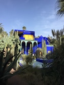 A vibrant blue building with striking yellow accents is surrounded by lush greenery and various cacti. Tall palm trees rise in the background against a clear blue sky.