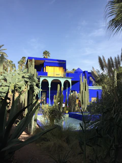 Cozy bungalow surrounded by cacti and blue skies.