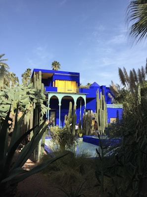 A vibrant blue building with striking yellow accents is surrounded by lush greenery and various cacti. Tall palm trees rise in the background against a clear blue sky.