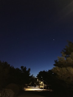A sleek modern garden pathway illuminated by subtle outdoor lighting against a dark night sky.