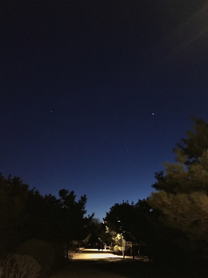 A sleek modern garden pathway illuminated by subtle outdoor lighting against a dark night sky.