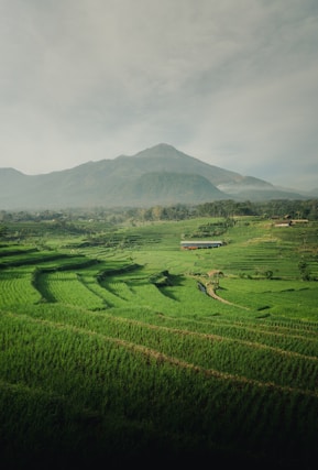 green grass field near mountain under white clouds during daytime