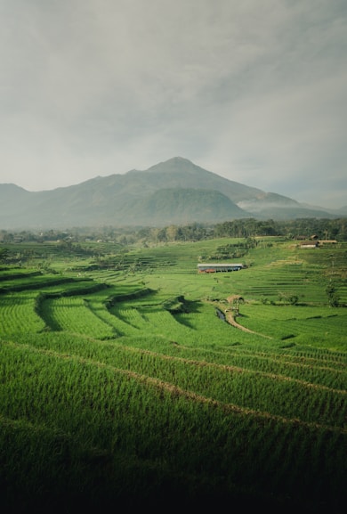 green grass field near mountain under white clouds during daytime