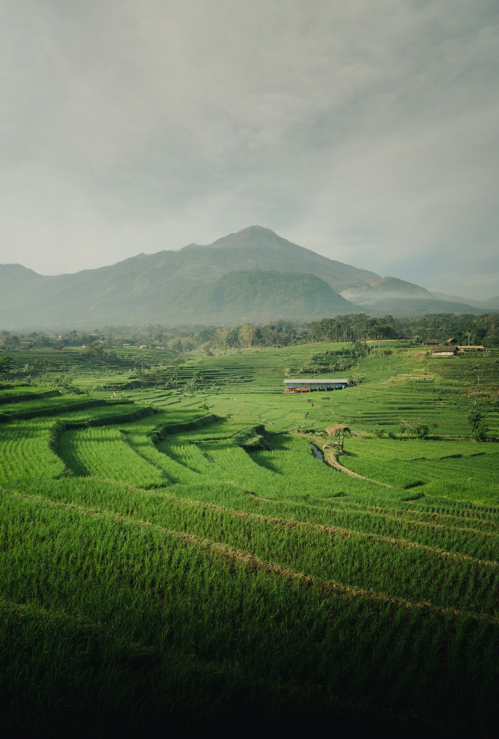 green grass field near mountain under white clouds during daytime