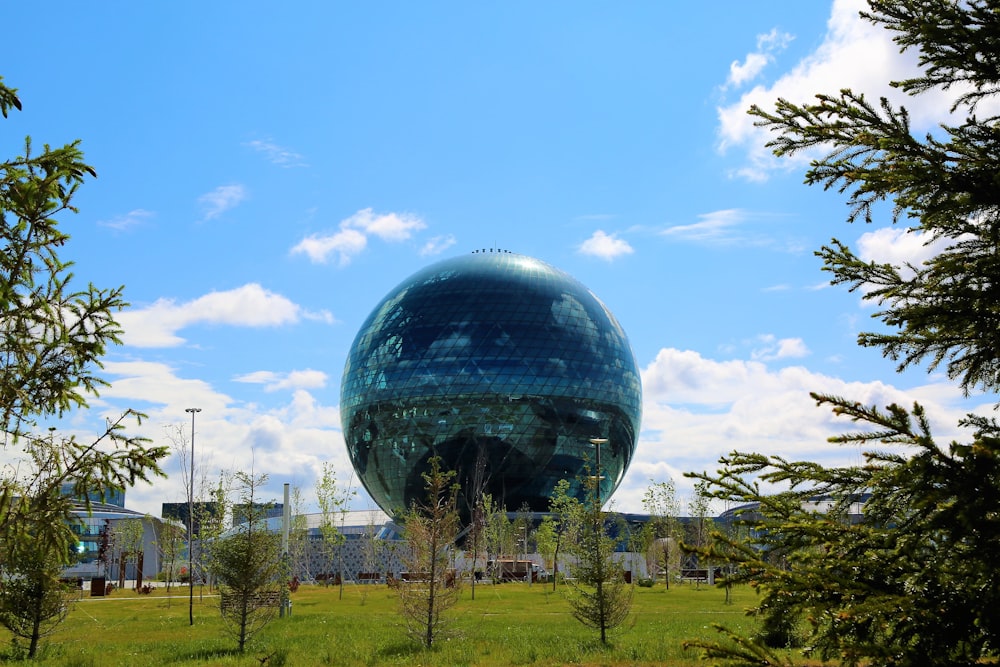 globo azul y negro en campo de hierba verde bajo cielo azul durante el día