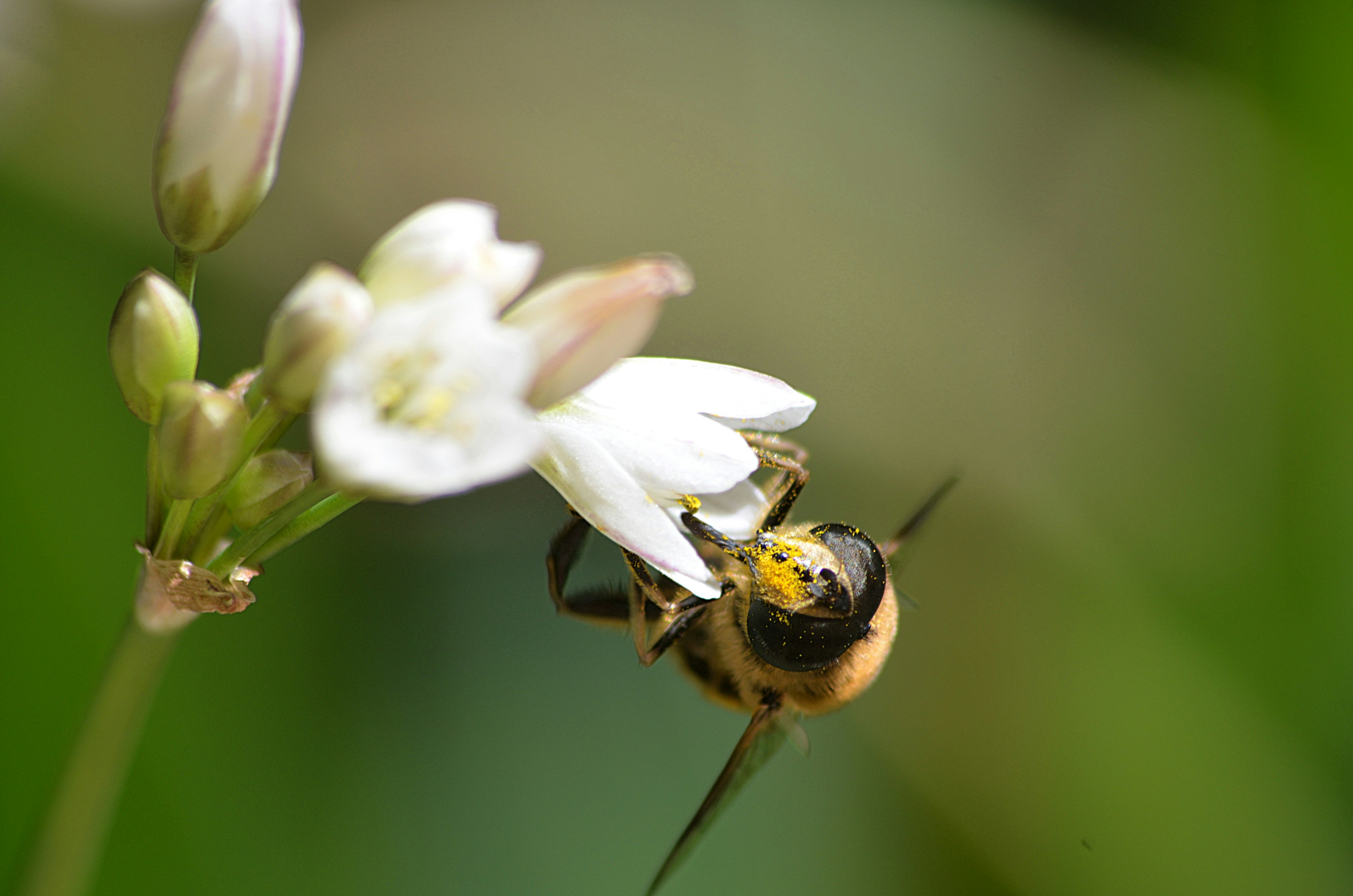 Photo by soufiane_photo_focus