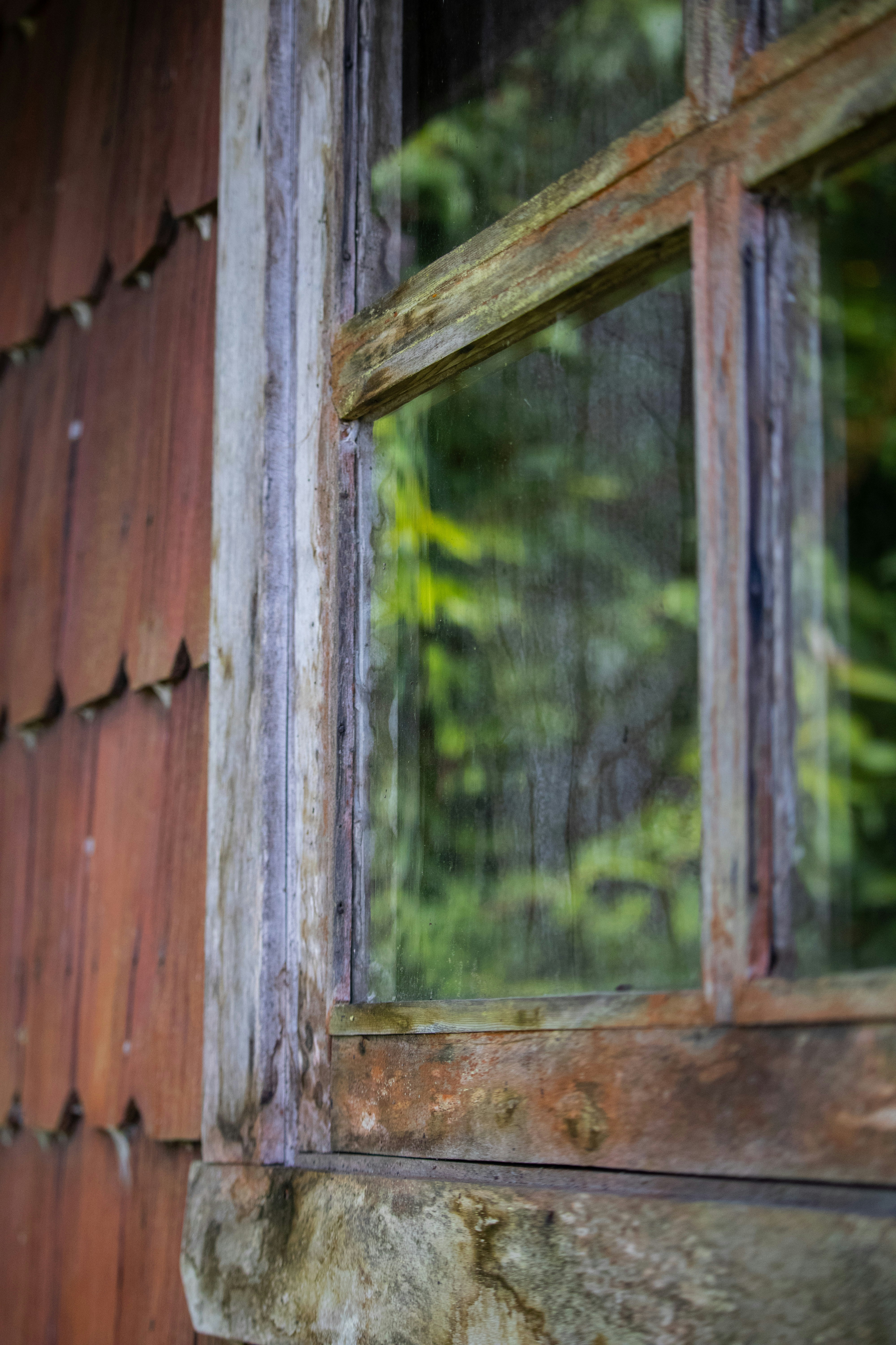 Photo by carmitchell91