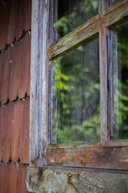 A rustic wooden window frame with aged and weathered wood is part of a structure, possibly a cabin or shed. The glass reflects the greenery of the trees outside, creating a blend of nature and architecture.