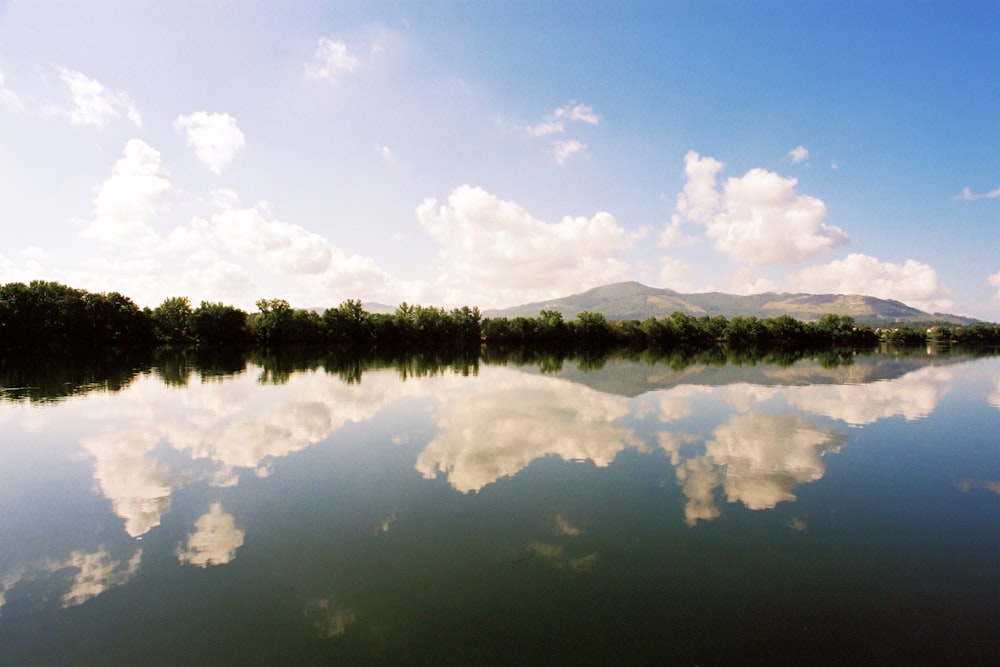 body of water near trees under white clouds and blue sky during daytime