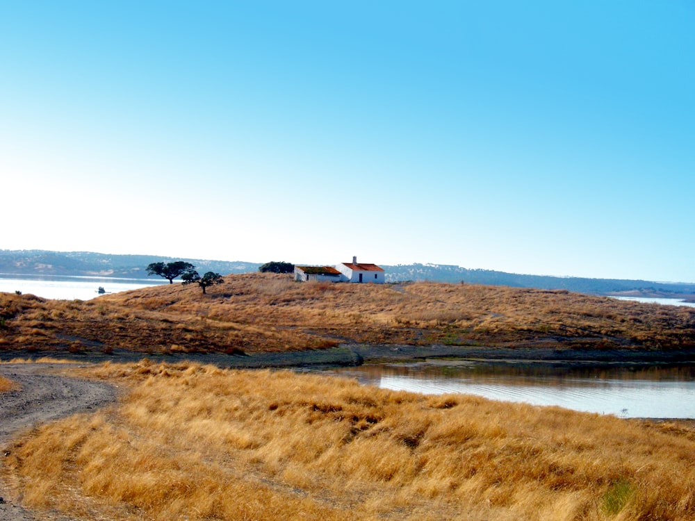 people walking on brown field near sea during daytime