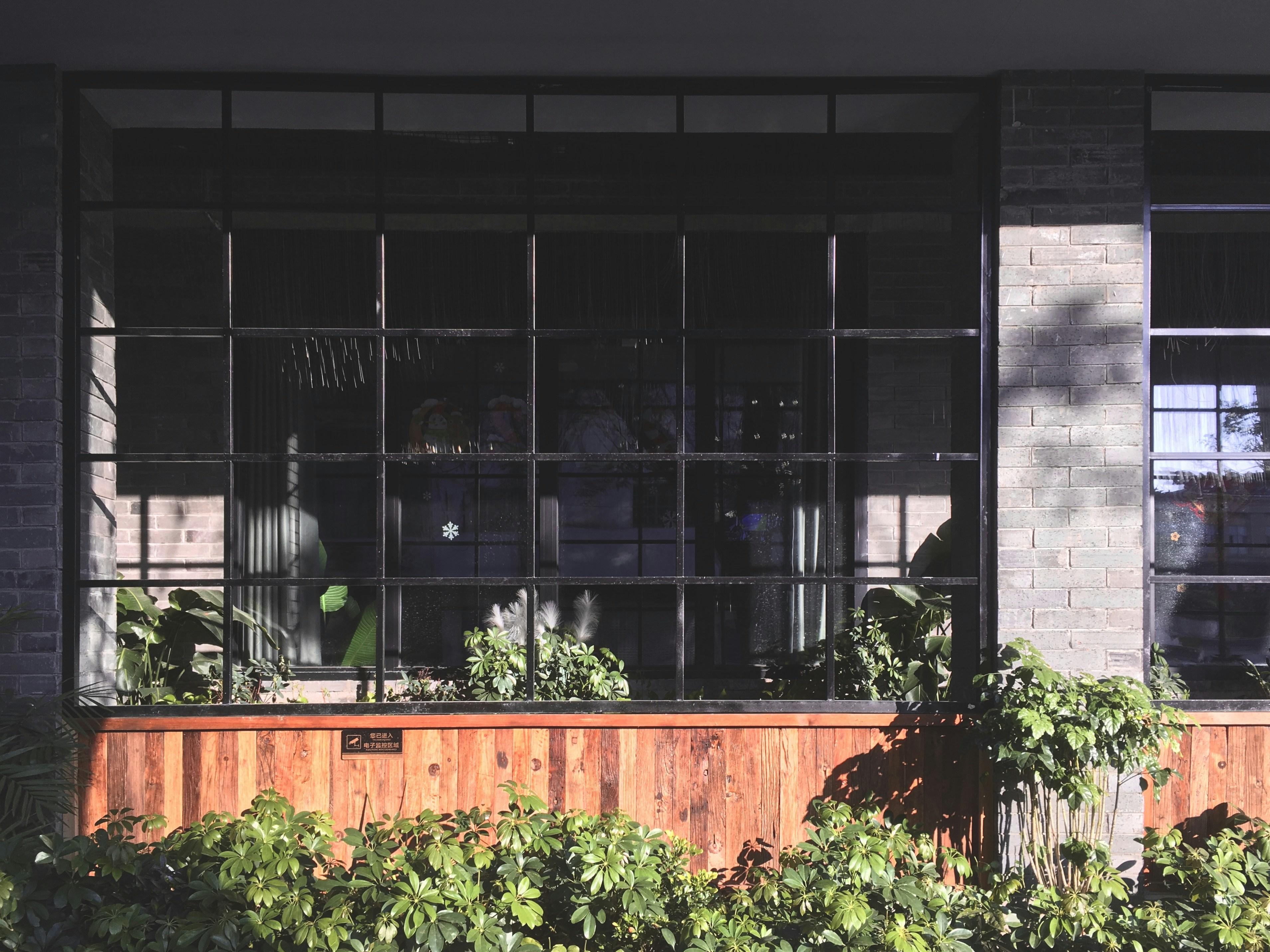 Photo by sunriseking