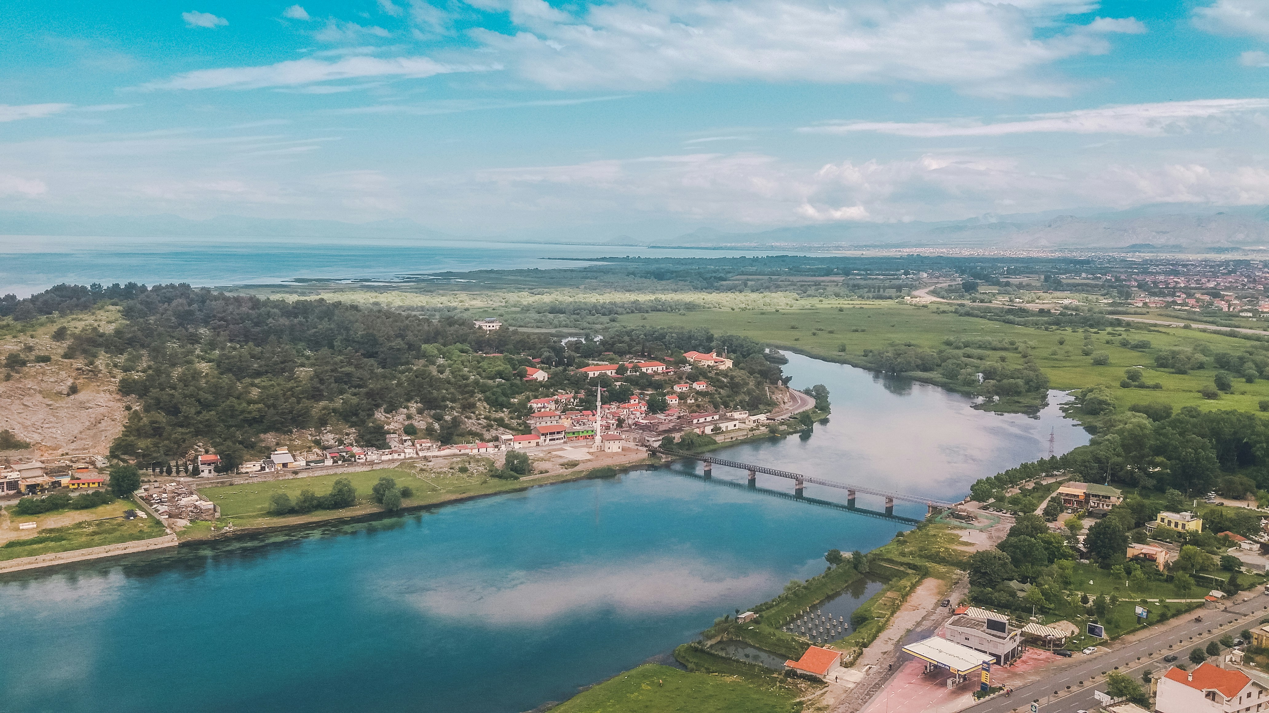 aerial view of green trees and river during daytime, 