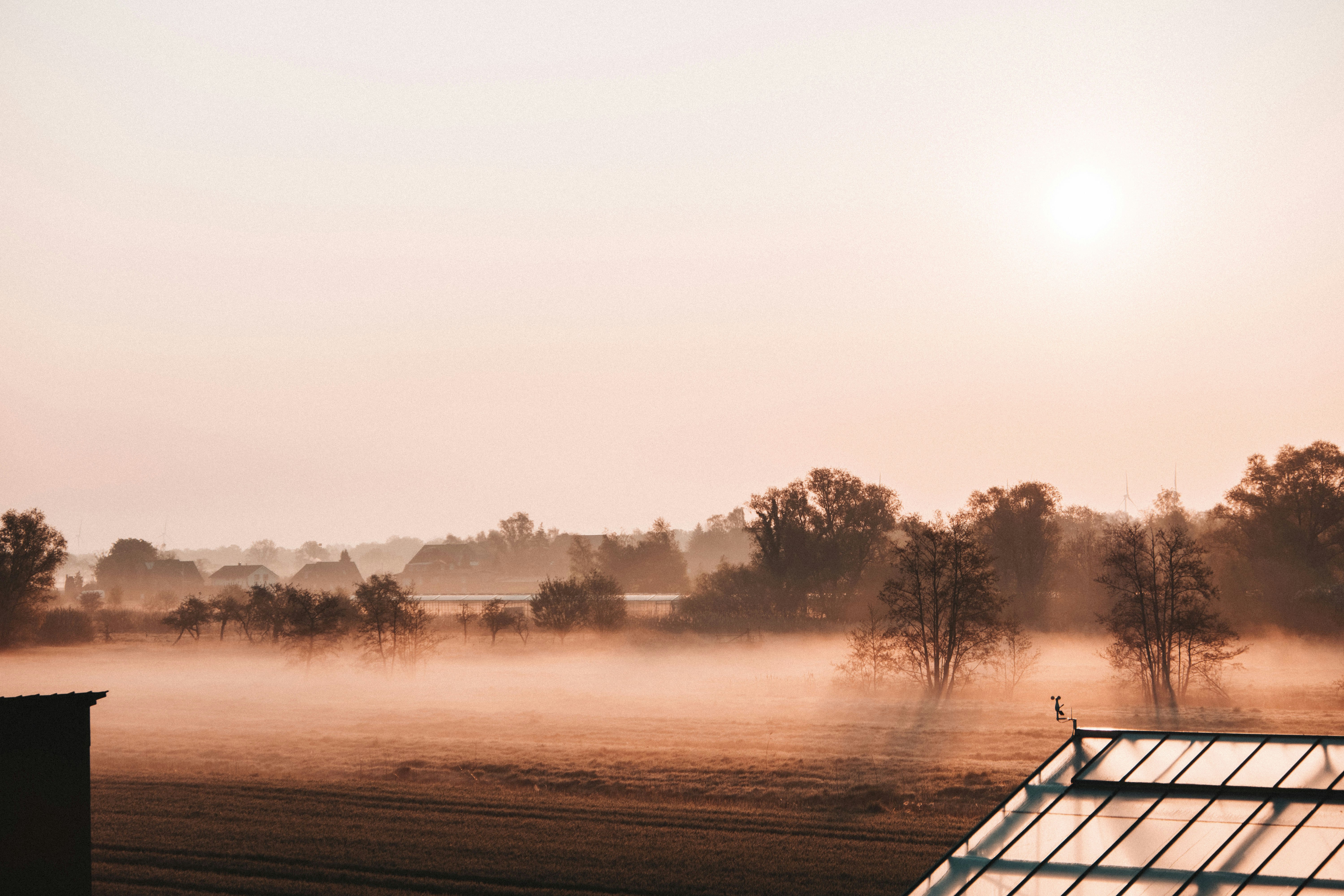 Photo by moritz_photography