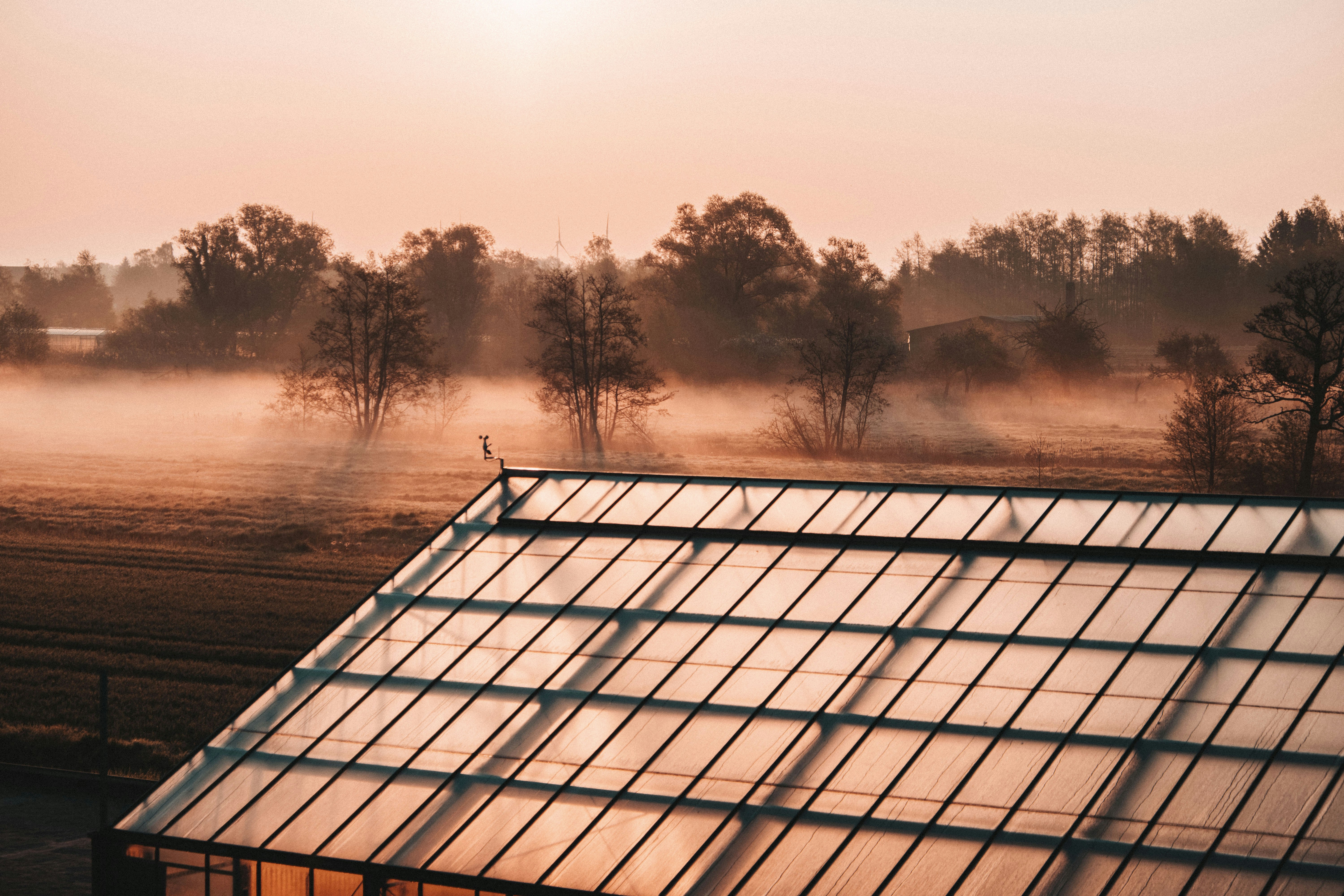 Photo by moritz_photography