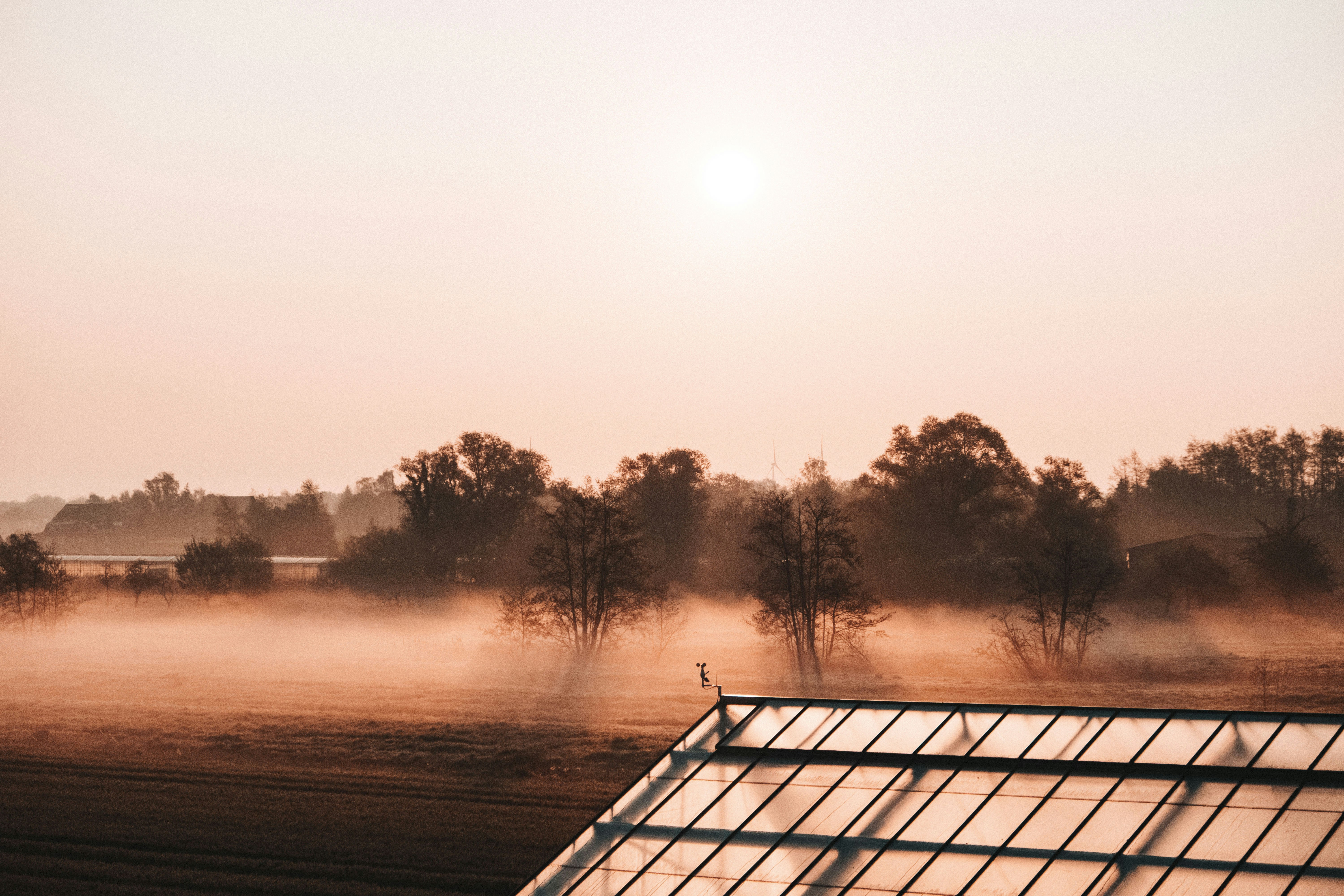 Photo by moritz_photography