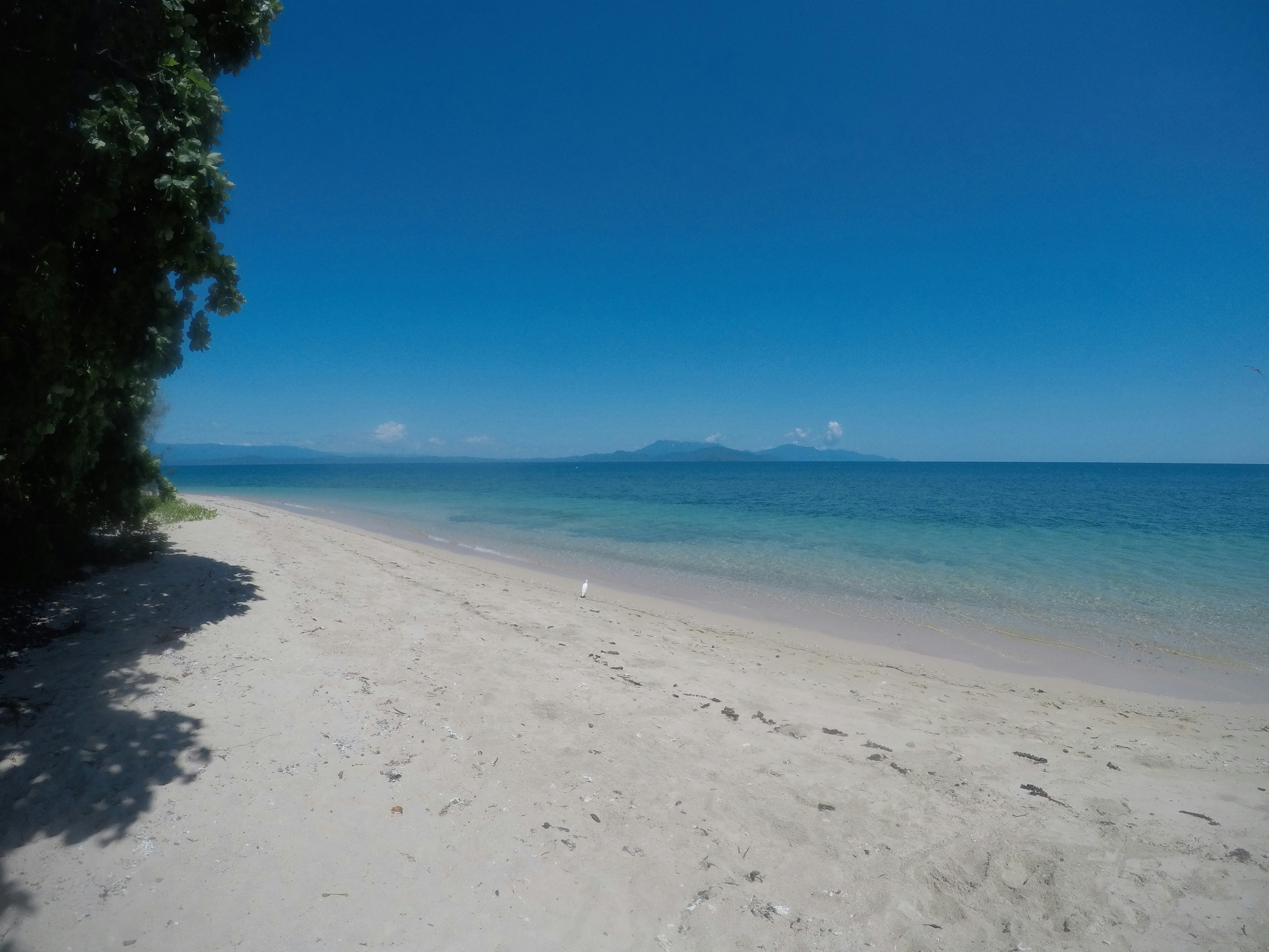 Photo by sofiapaivaa