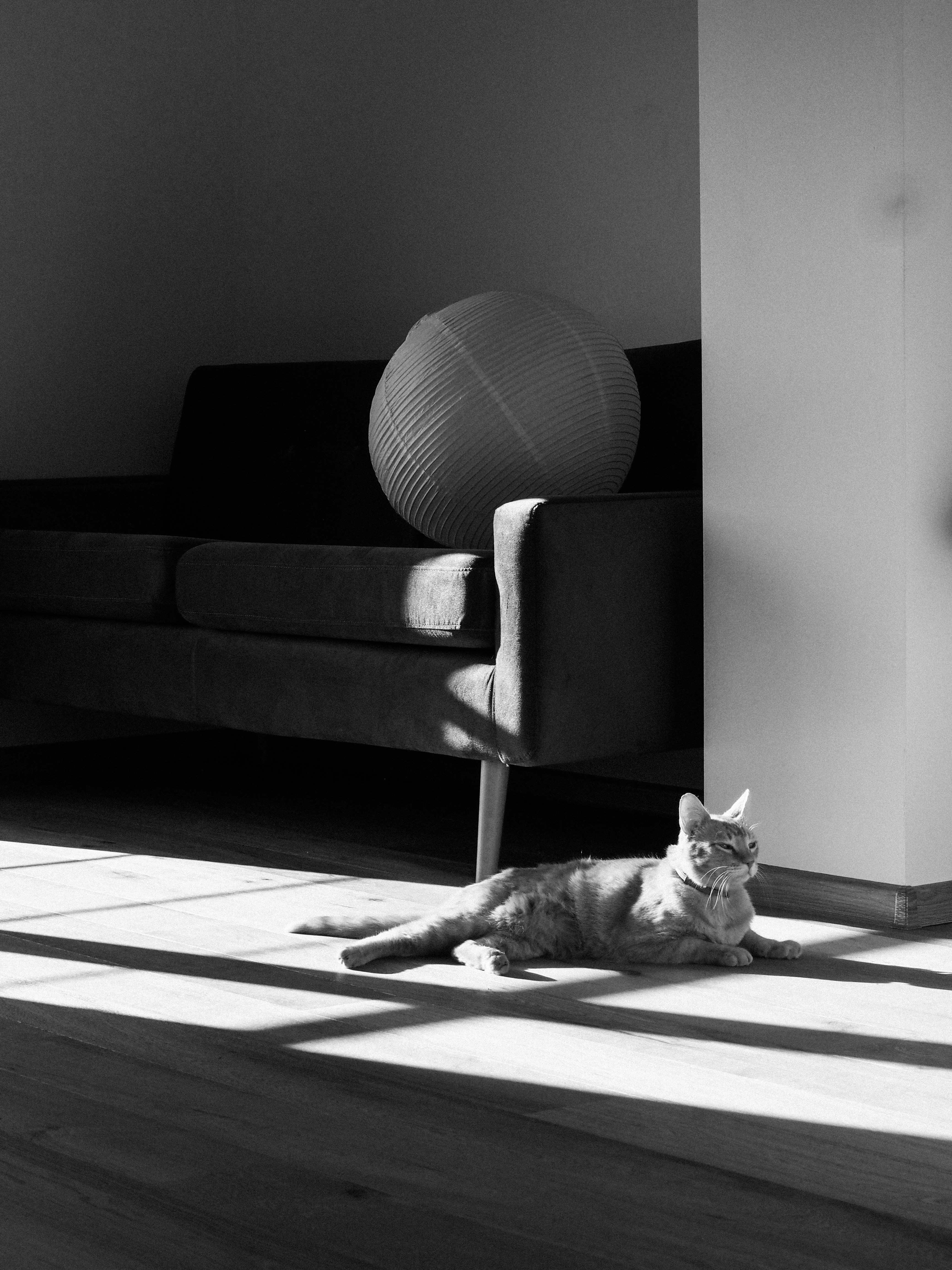 Photo by malotovanatalie