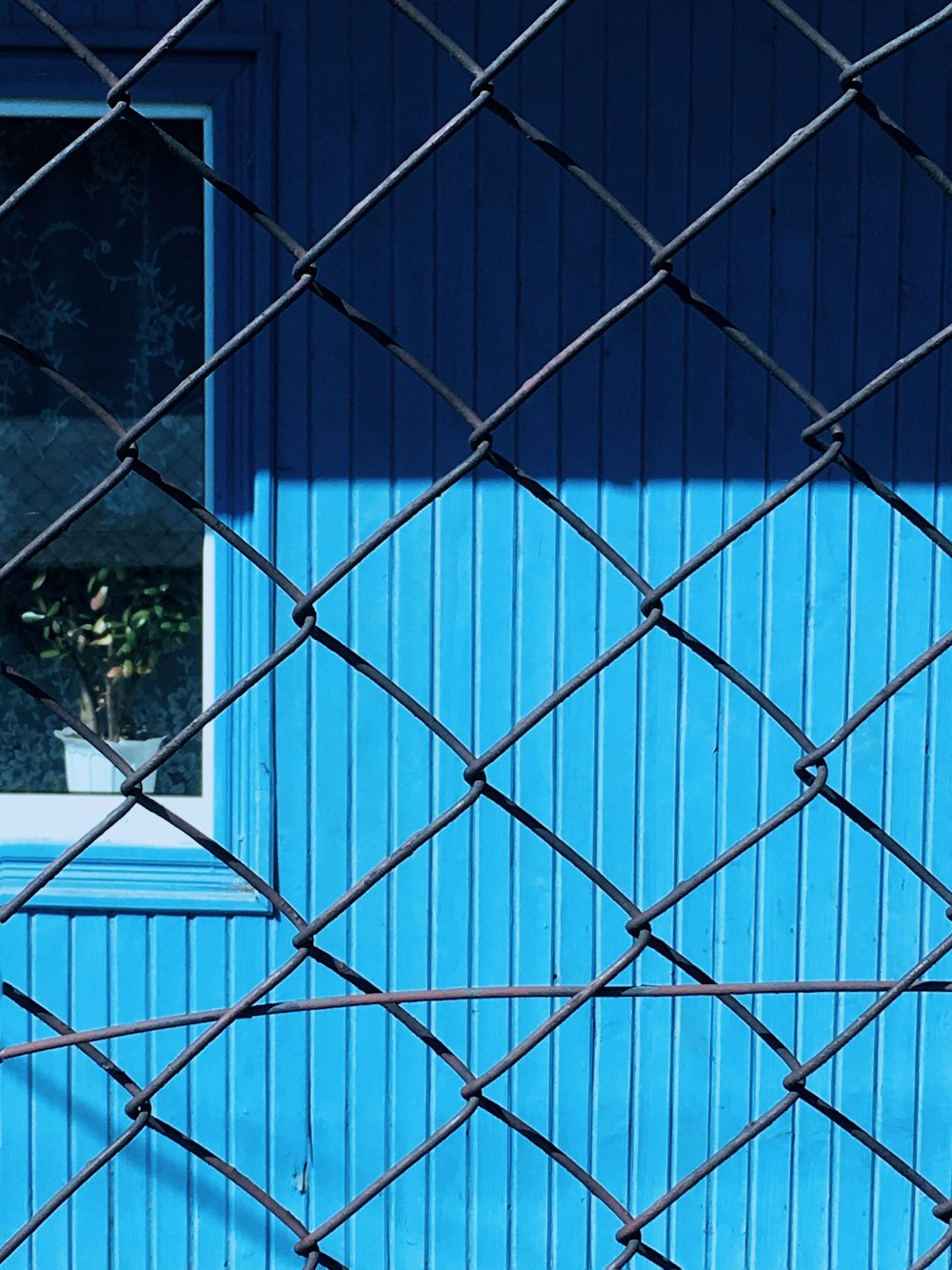 blue metal fence near green trees during daytime