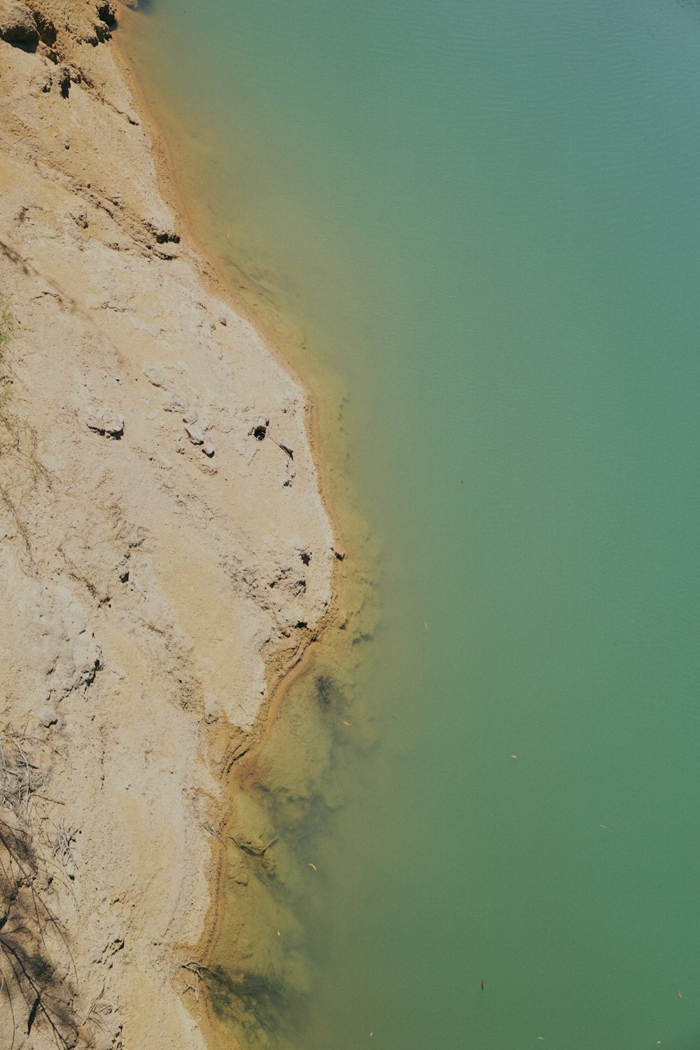 areia marrom e branca ao lado do corpo de água durante o dia
