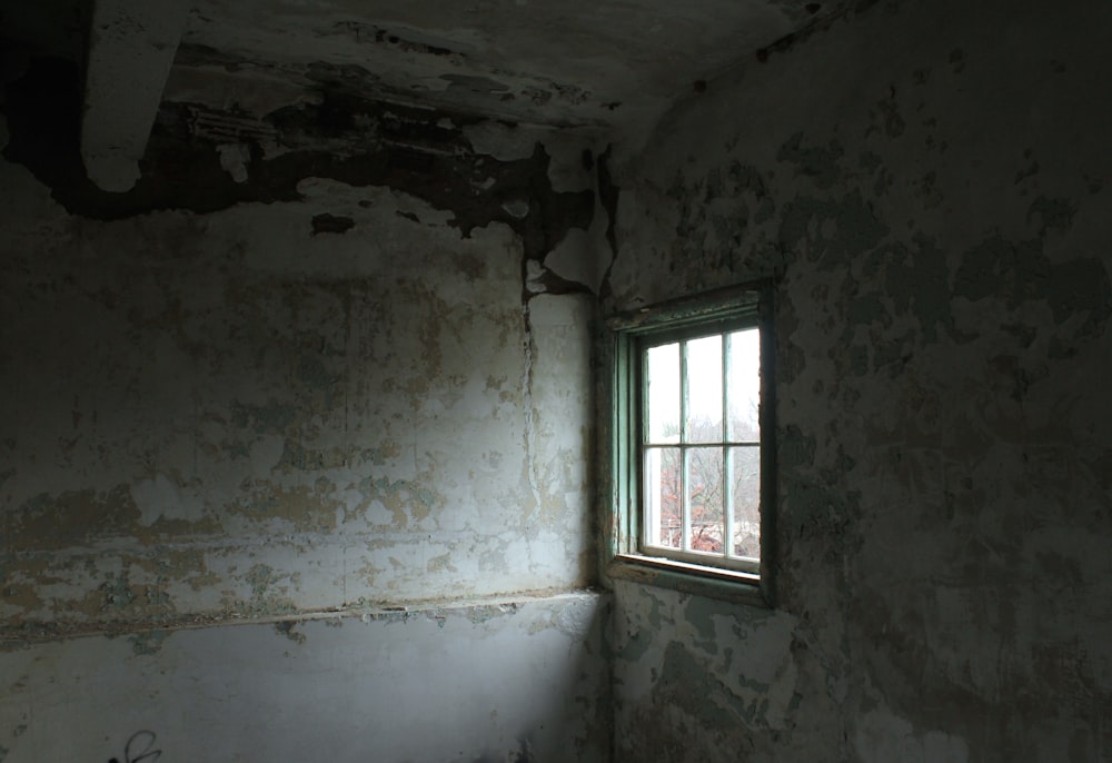 white wooden framed glass window