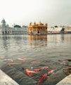 brown concrete building near body of water during daytime