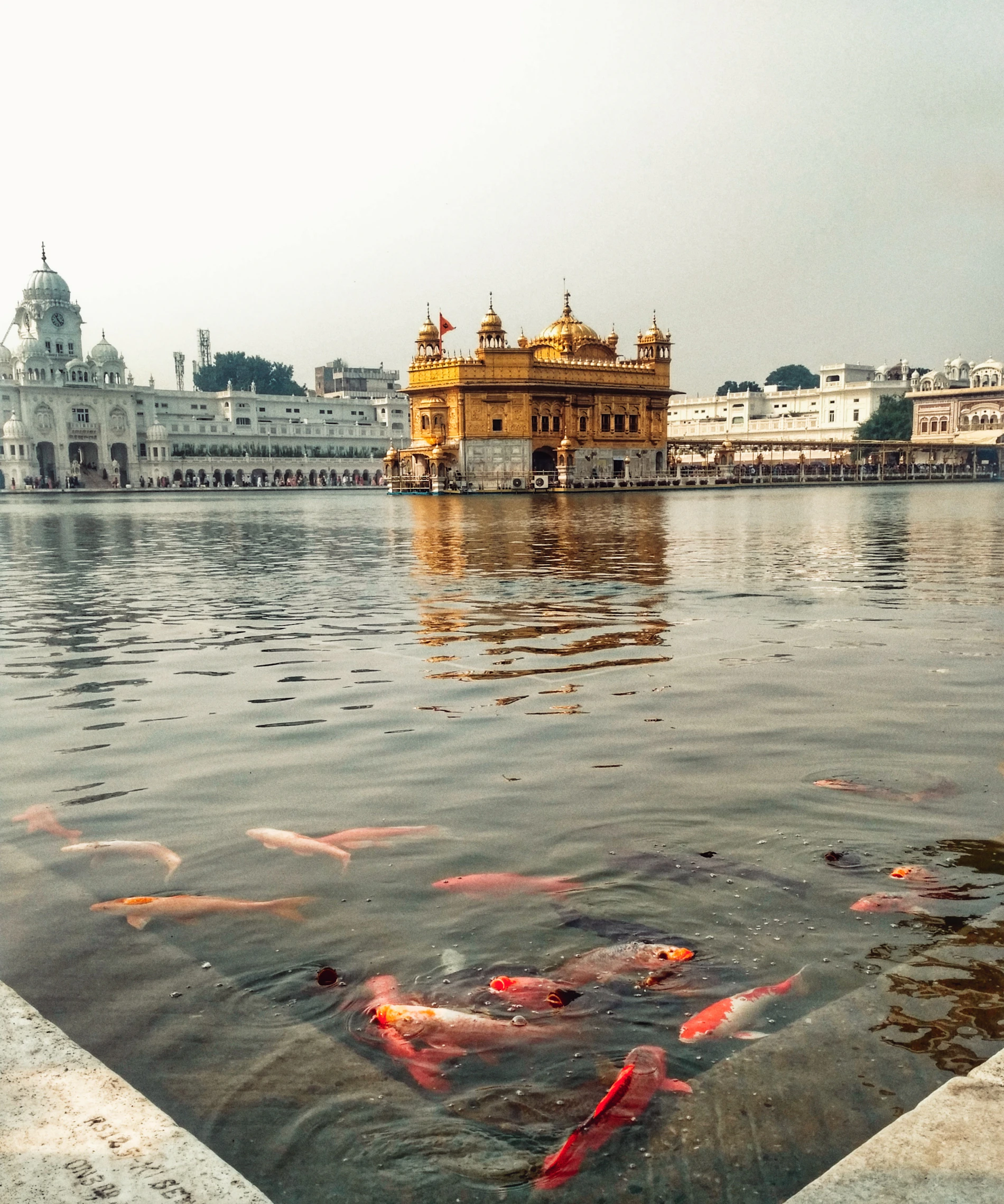 Amritsar Tour Packages