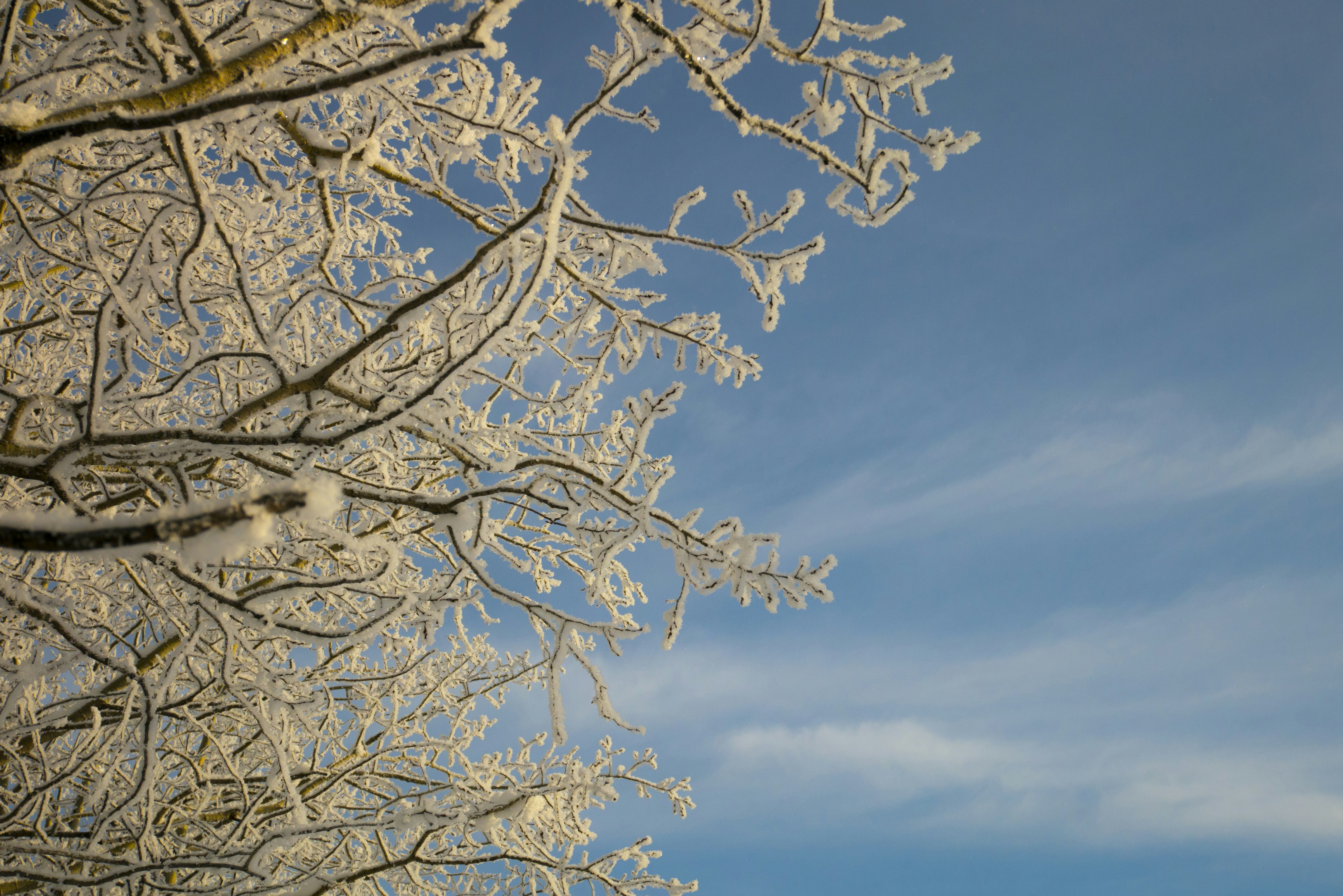 Photo by smithersinteriornews