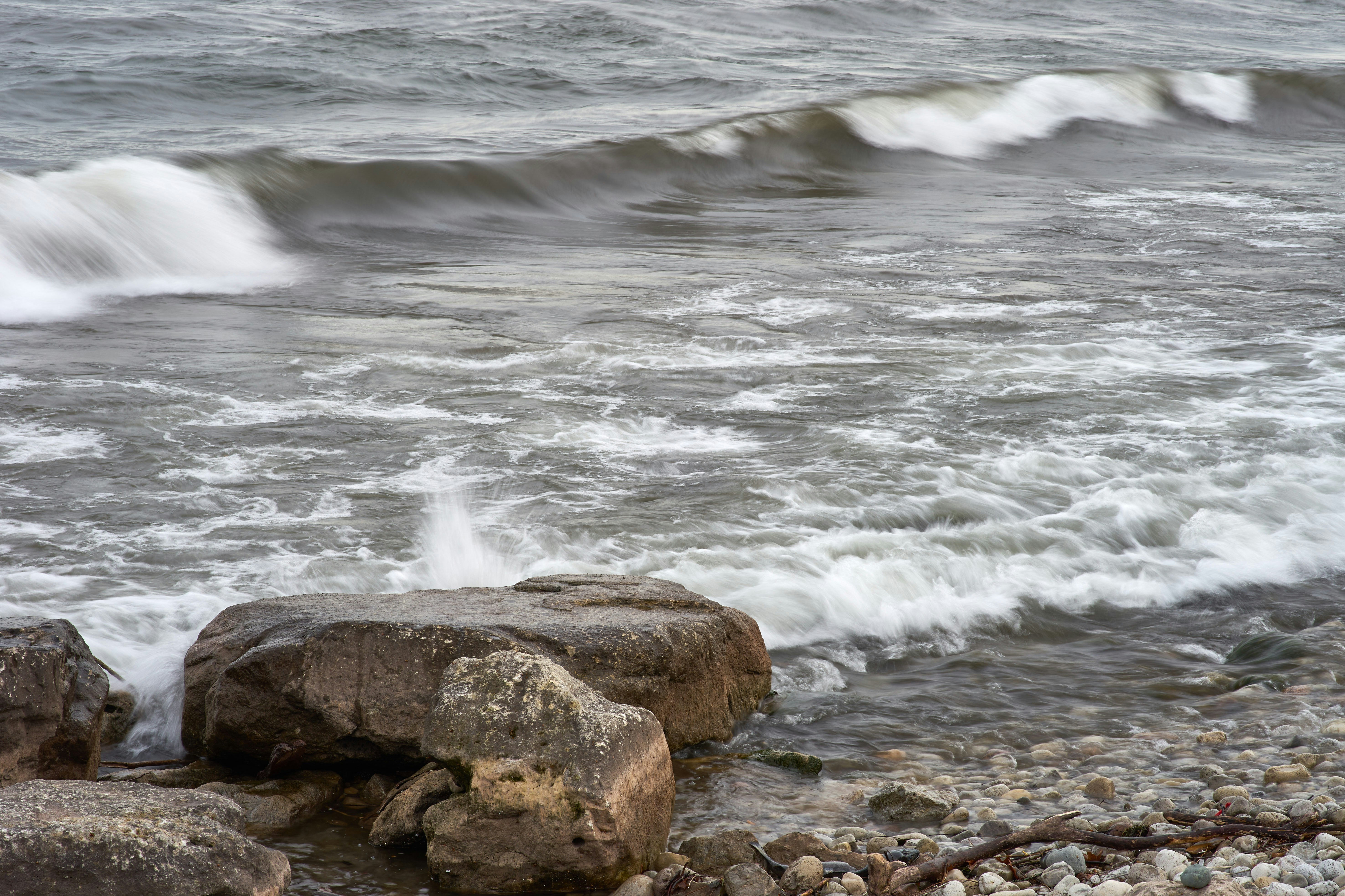 Photo by wolfgang_hasselmann