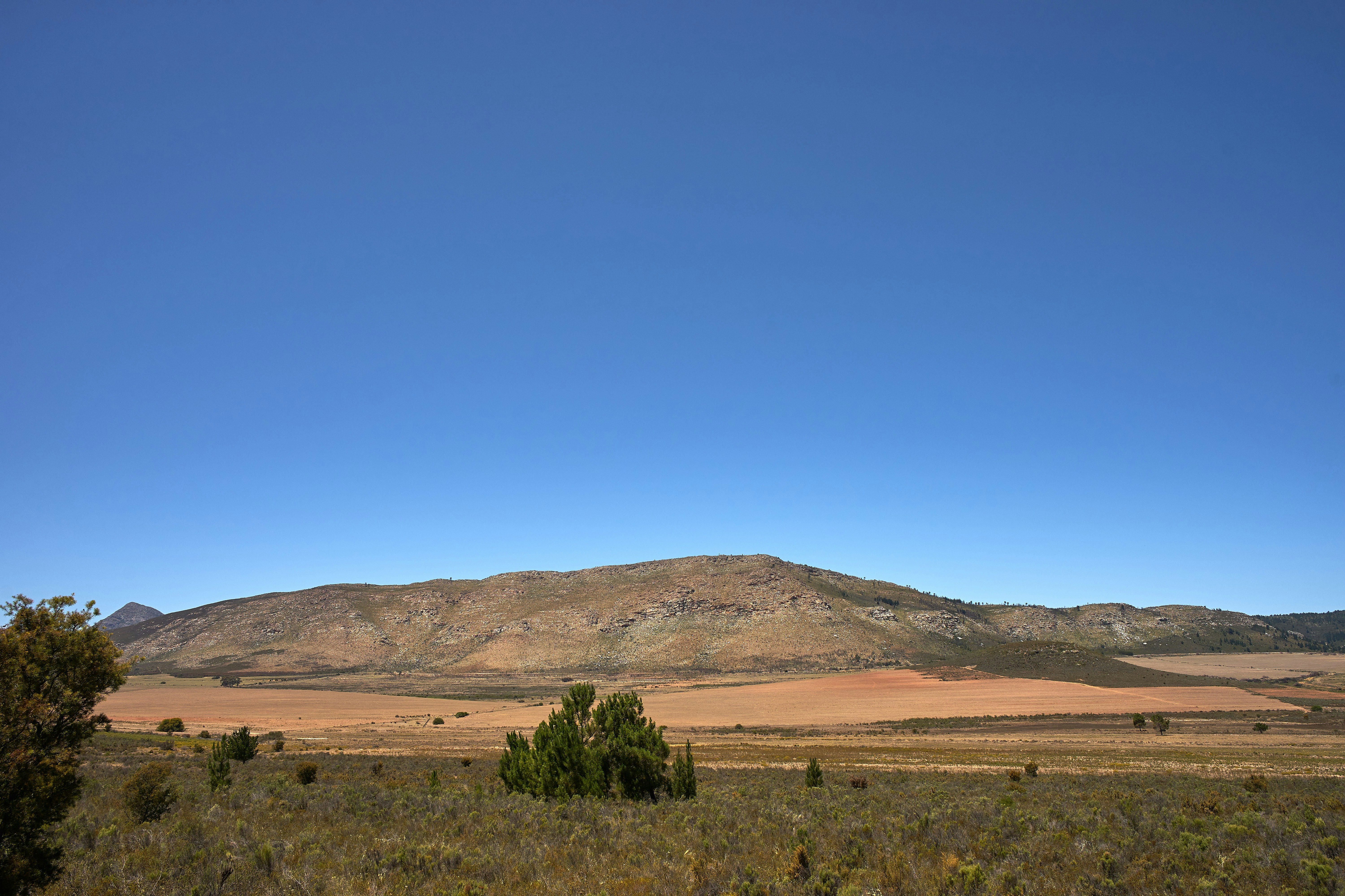 Photo by wolfgang_hasselmann