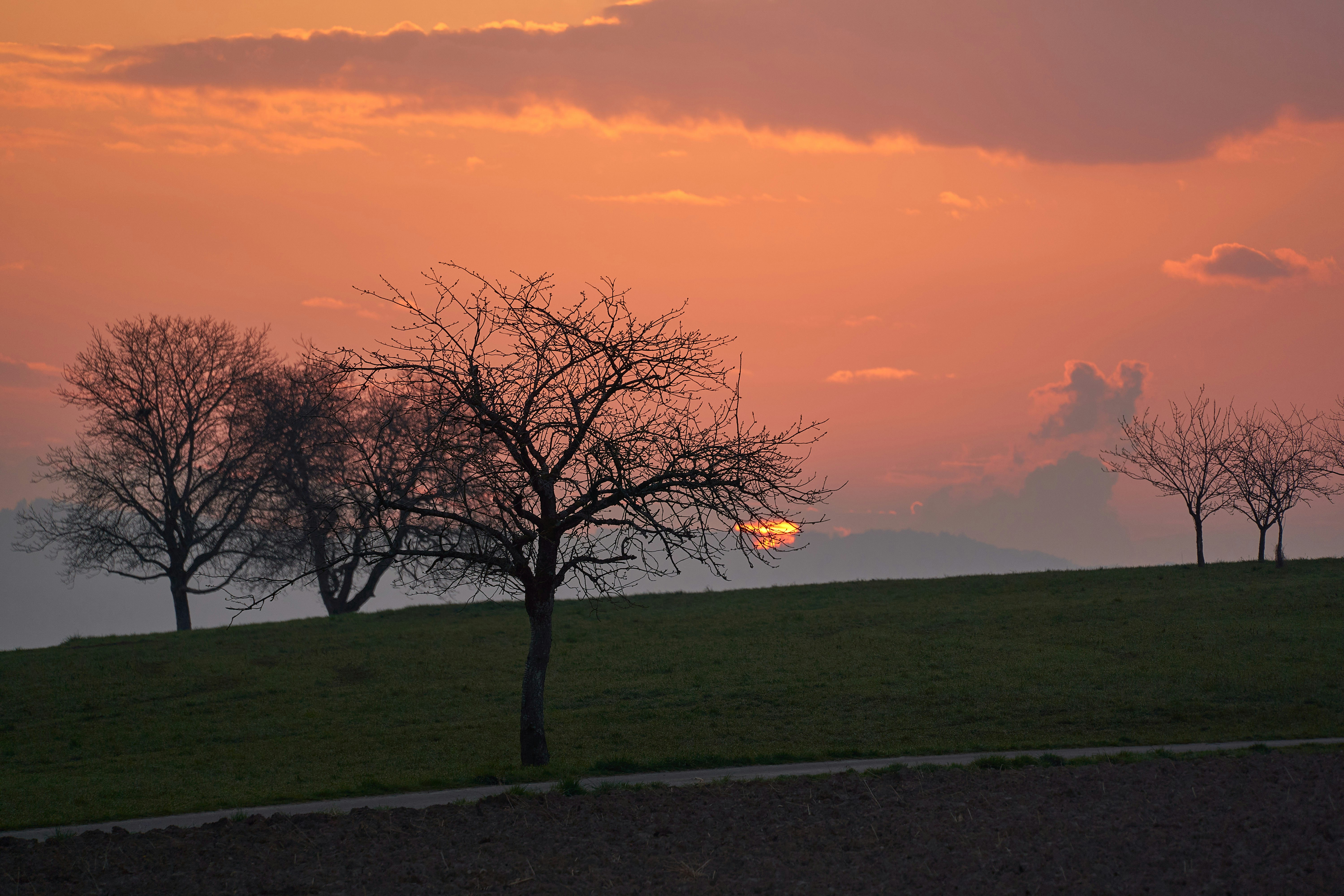 Photo by wolfgang_hasselmann