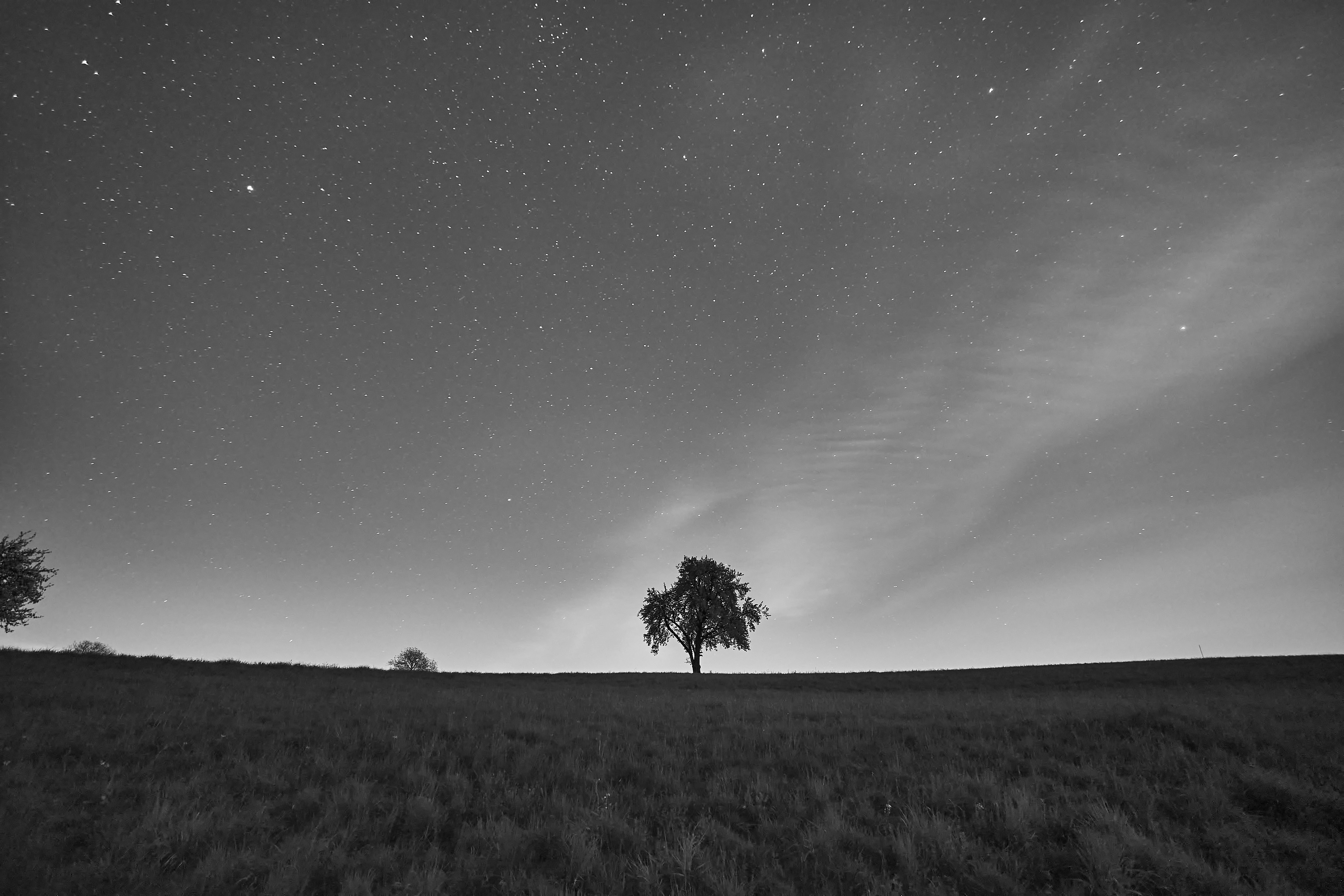 Photo by wolfgang_hasselmann