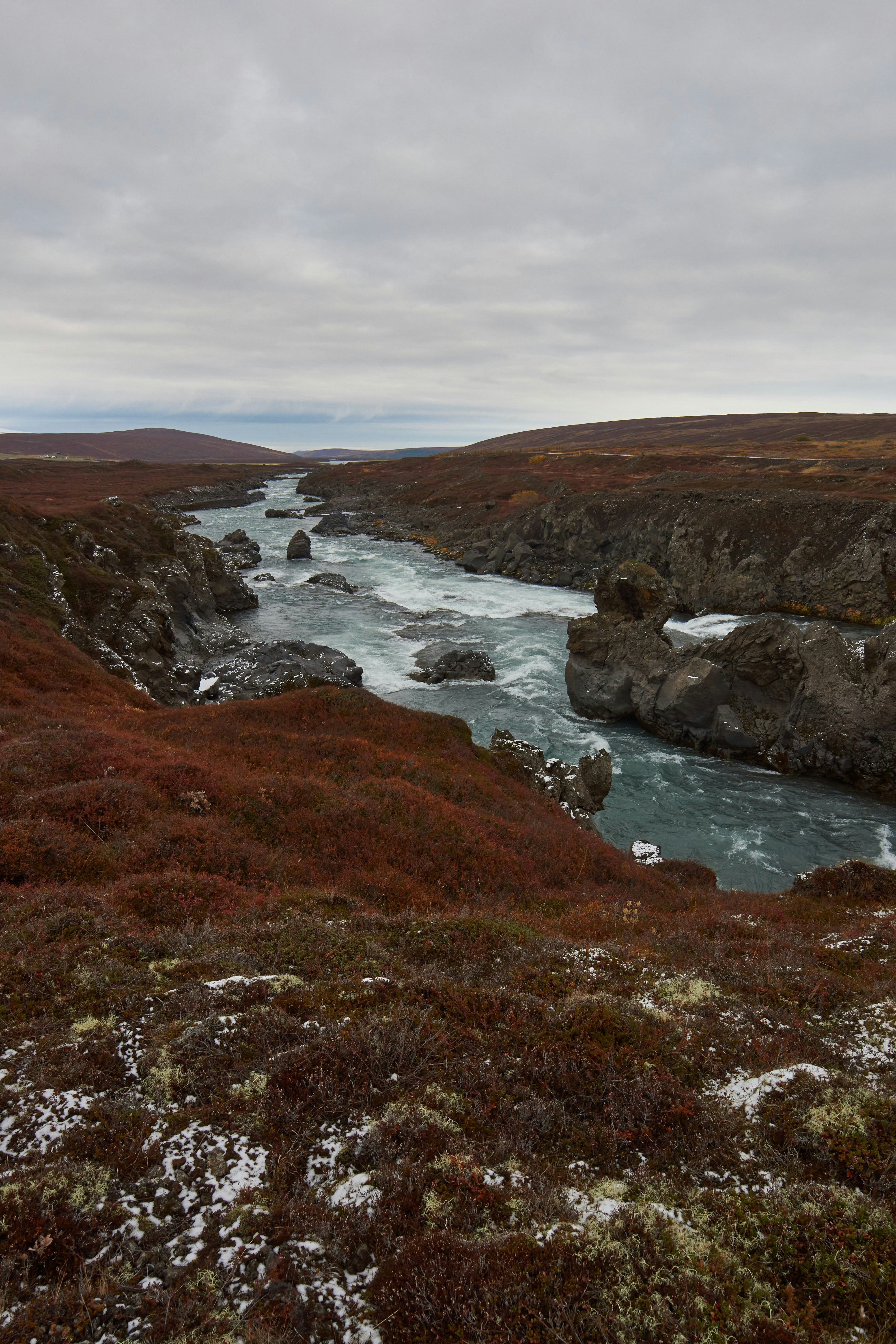 Photo by wolfgang_hasselmann