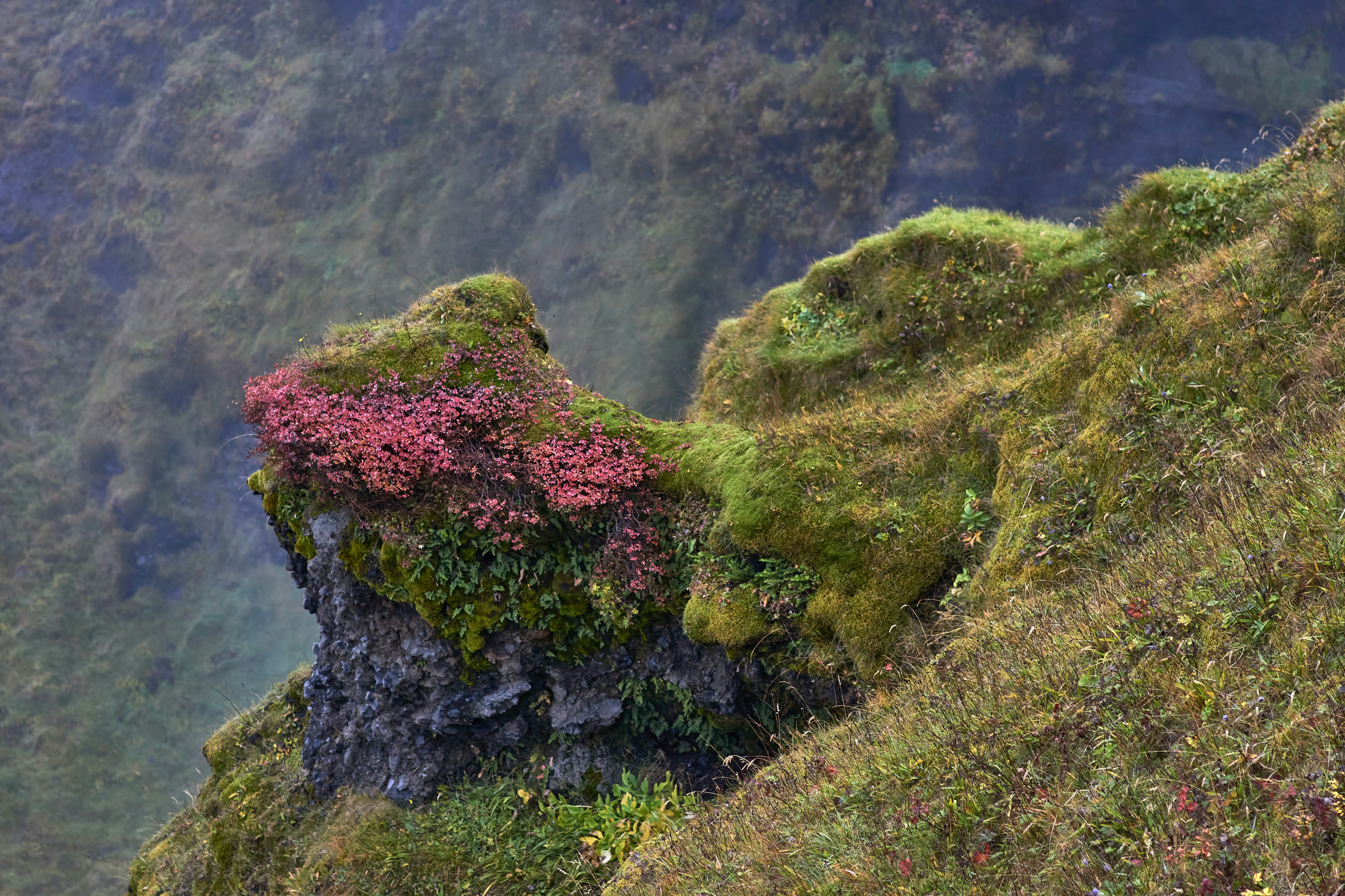 Photo by wolfgang_hasselmann