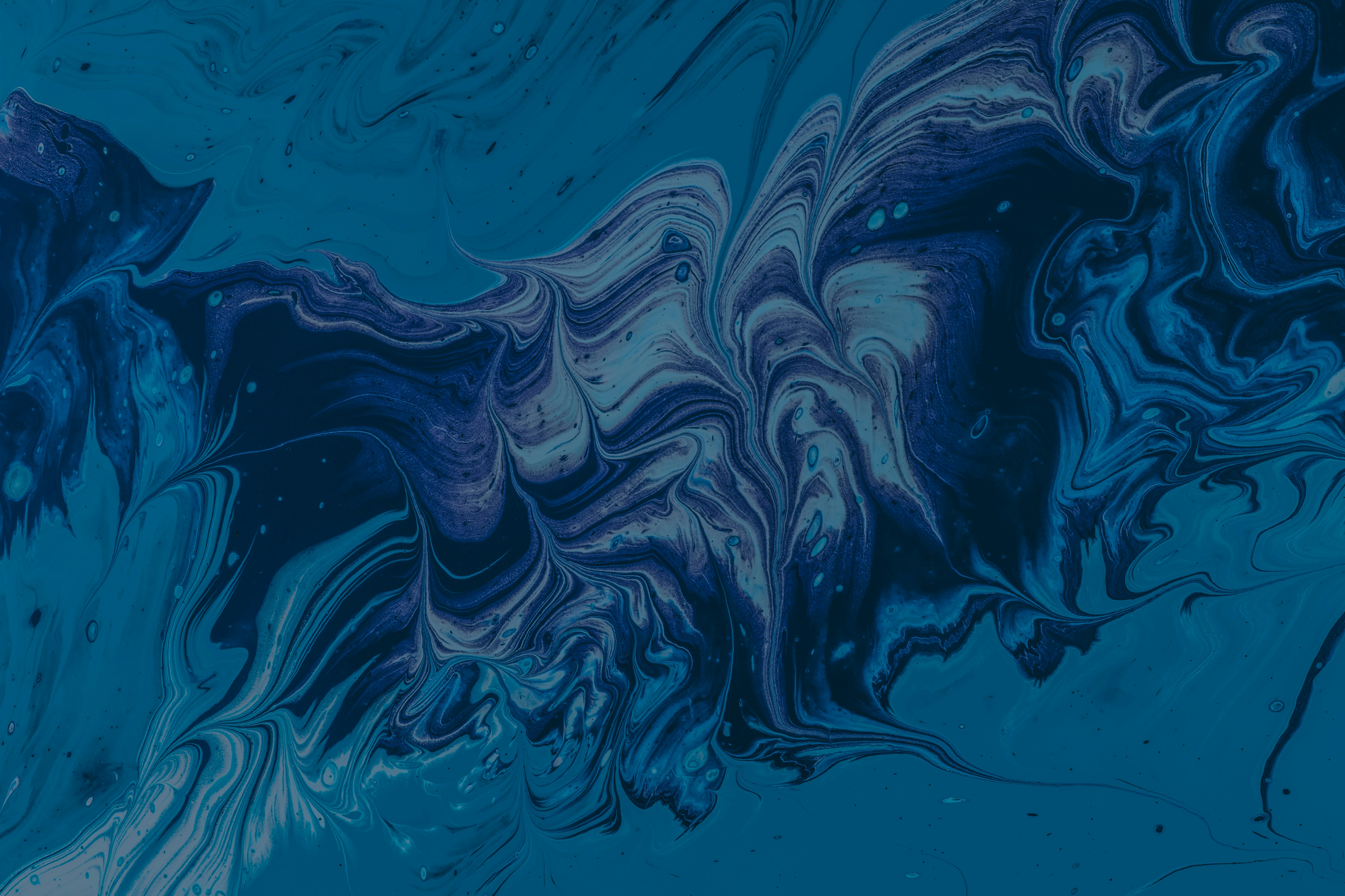 The Newspaper Revolution That Built Democracy