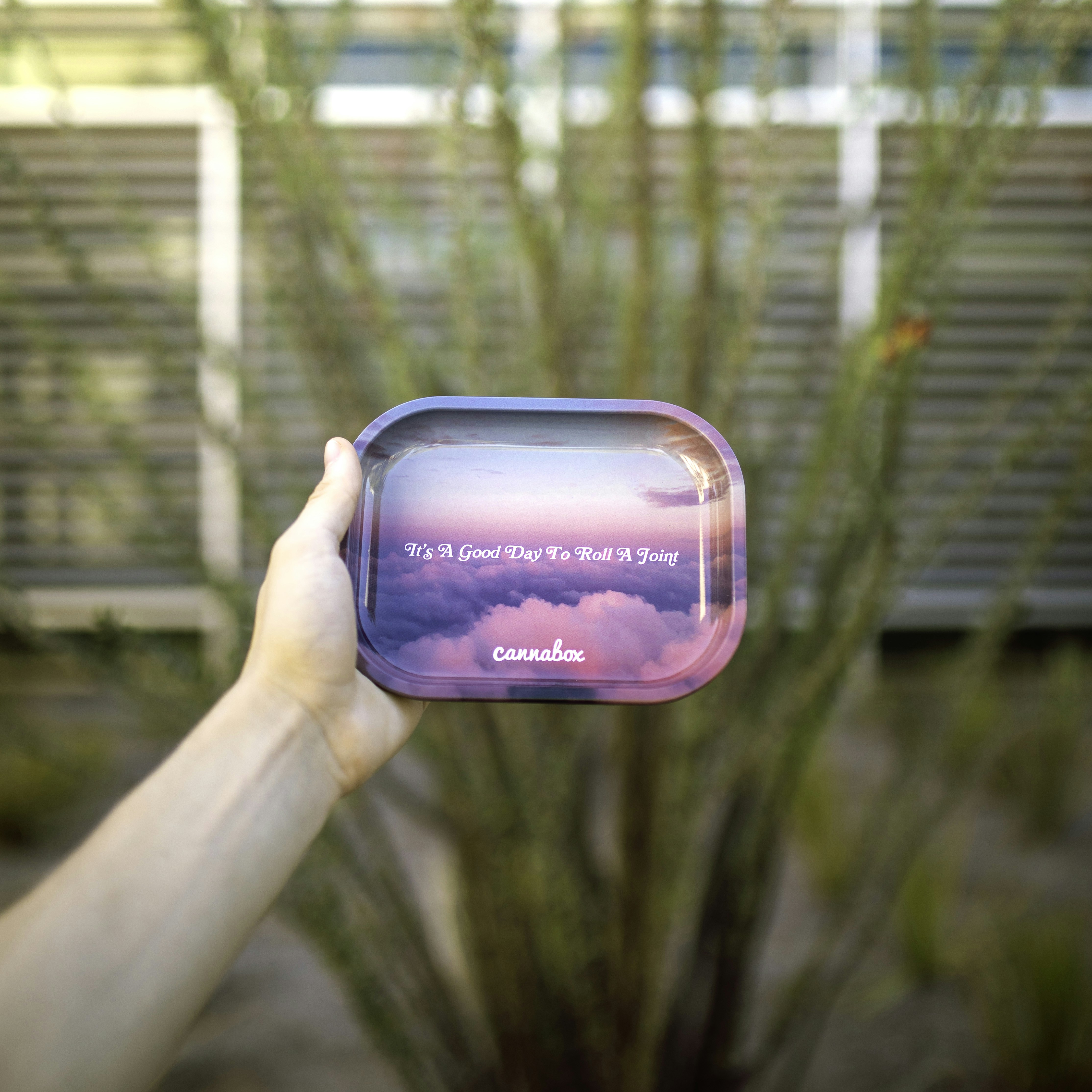 person holding purple and white plastic container