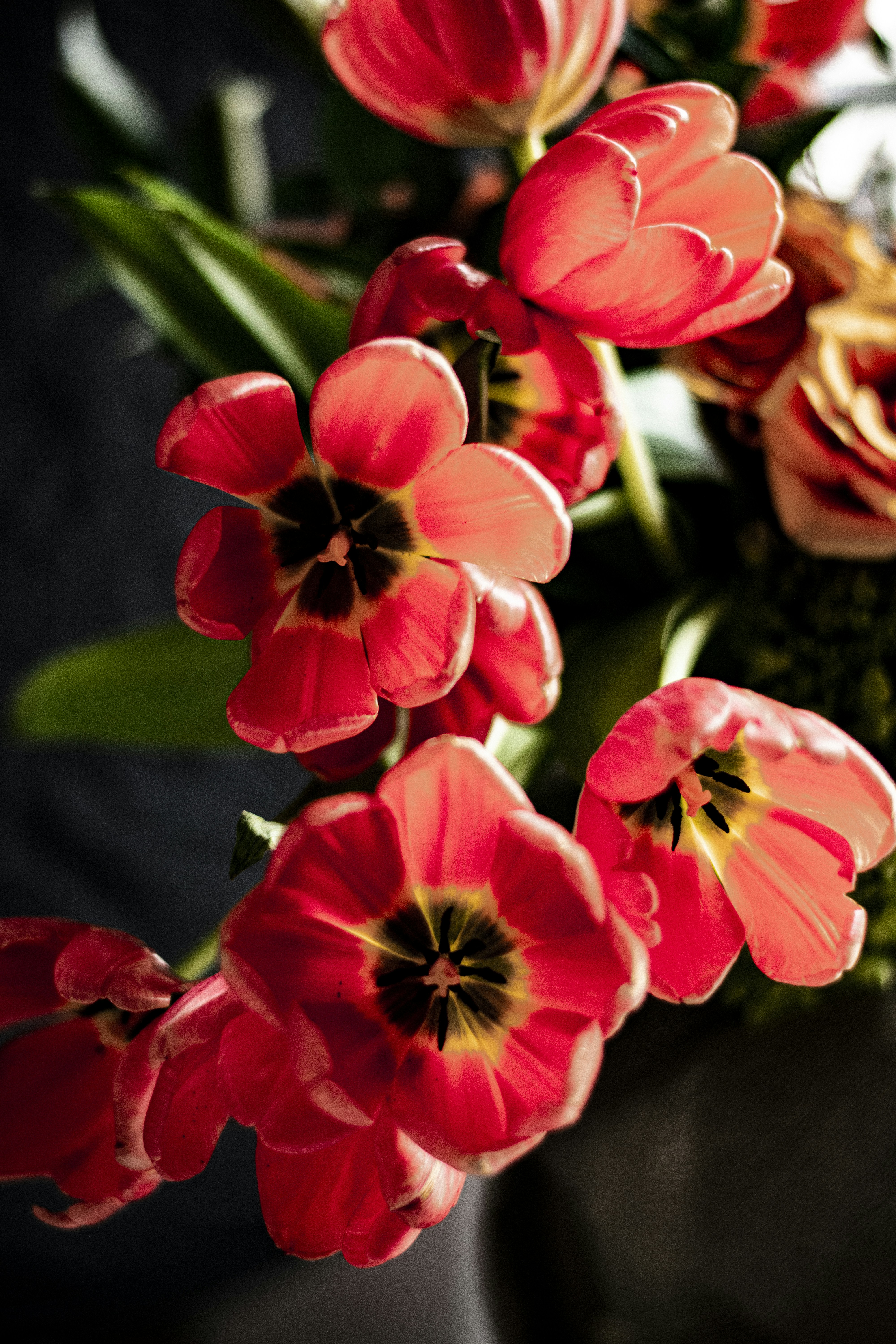 Photo by jahirbaylon