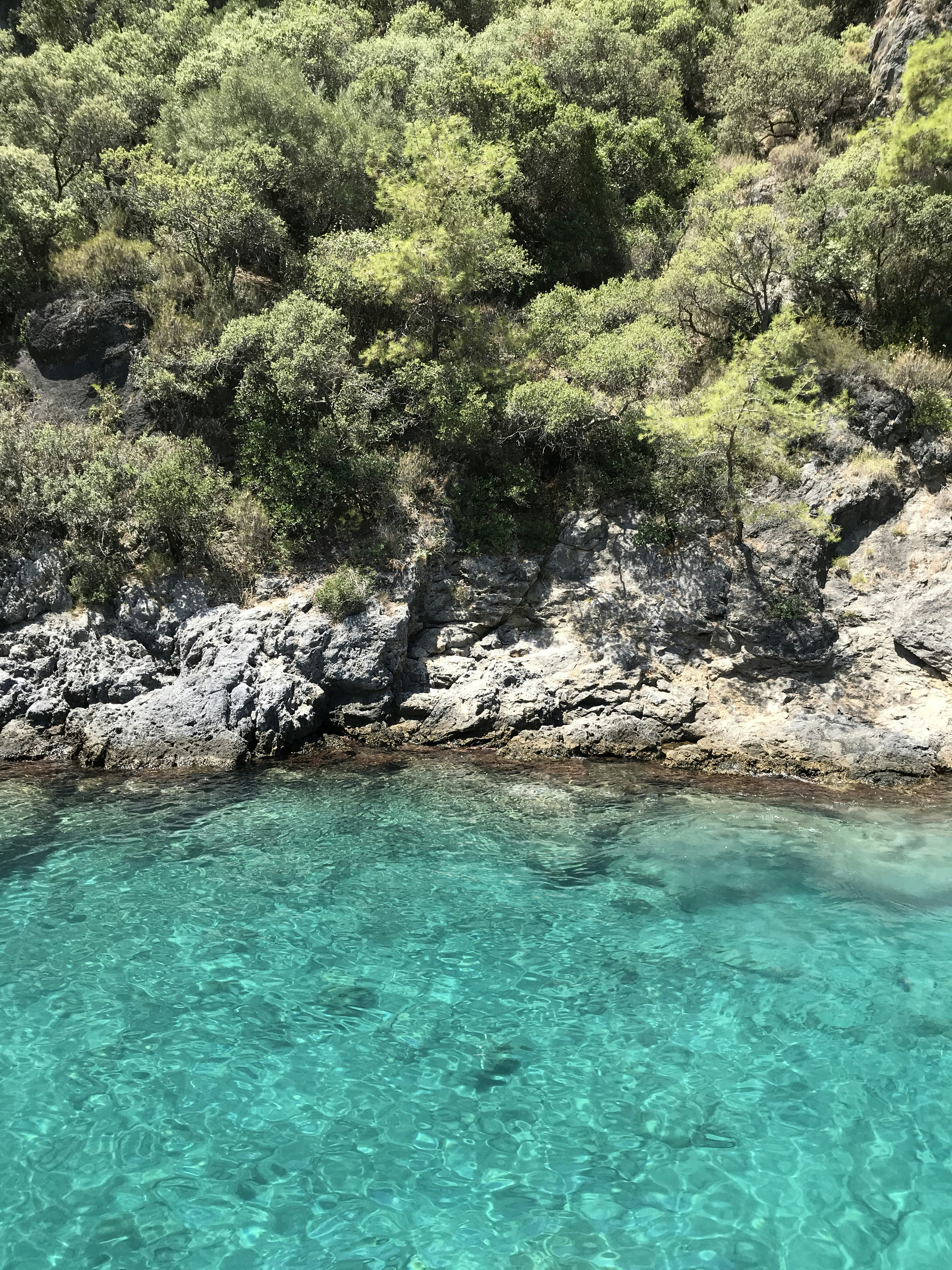 Photo by burakrifatderal