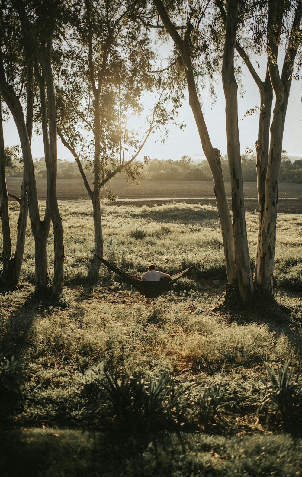 brown wooden boat on brown grass field near brown tree during daytime