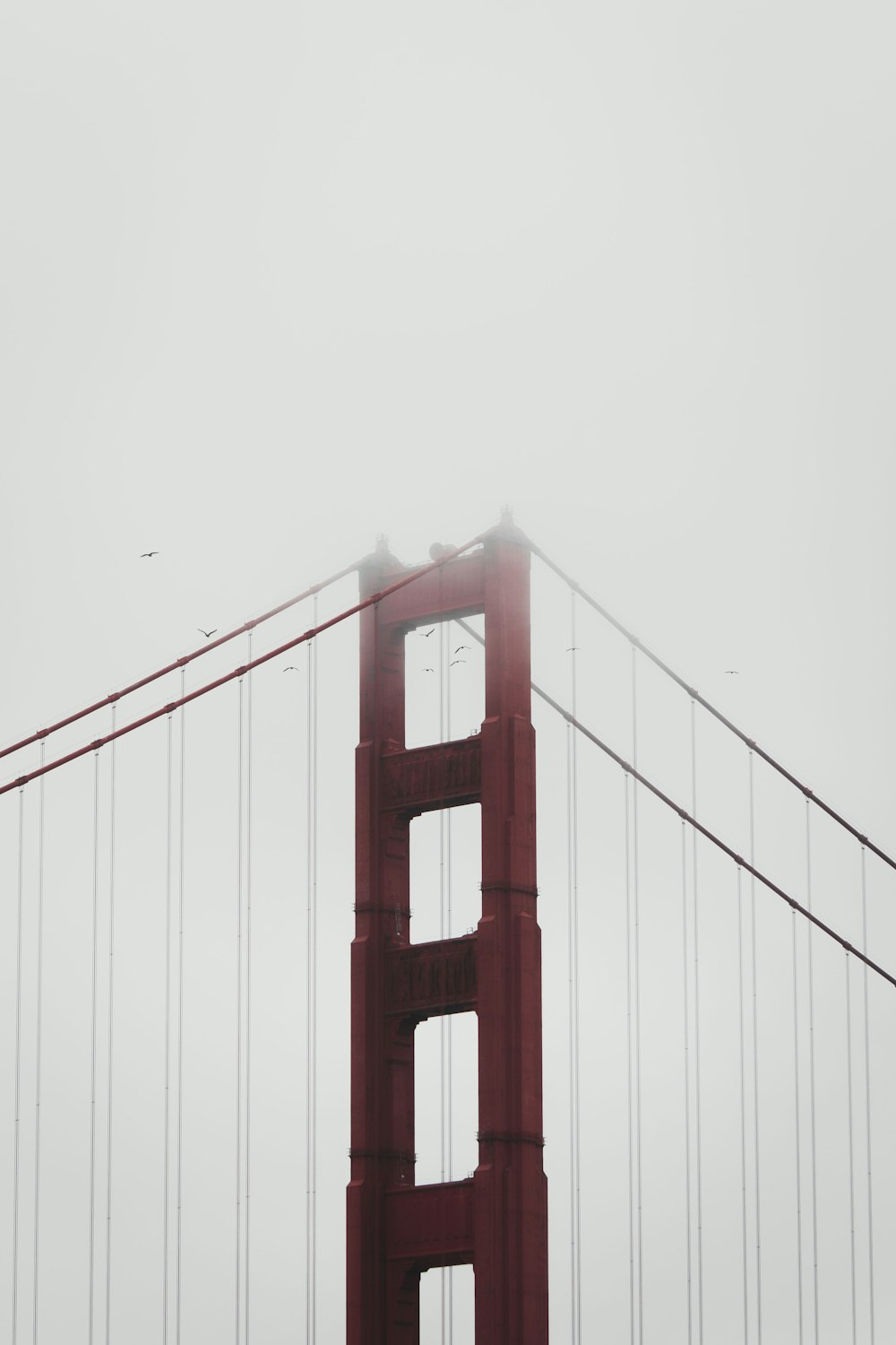 Golden Gate Bridge in der Graustufenfotografie
