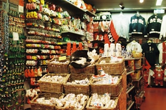 A black and white cat is lounging on top of a stack of wicker baskets in a crowded souvenir shop. The background is filled with a variety of colorful items, such as hanging keychains and magnets on the left, sports jackets on the right, and small souvenir items stacked on shelves in between.