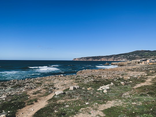 green grass field near body of water during daytime in Sintra-Cascais Natural Park Portugal