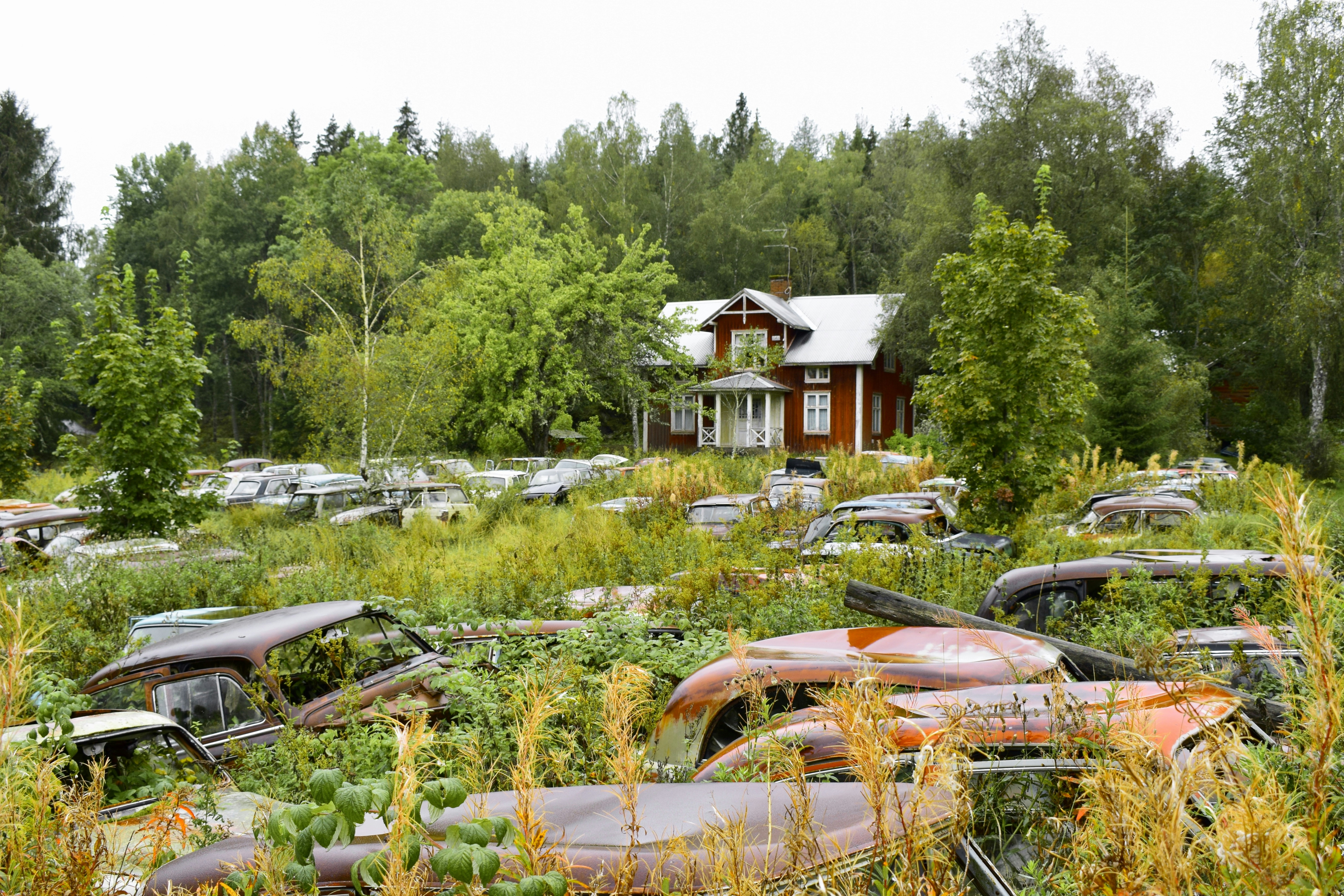 brown and white house near green trees during daytime