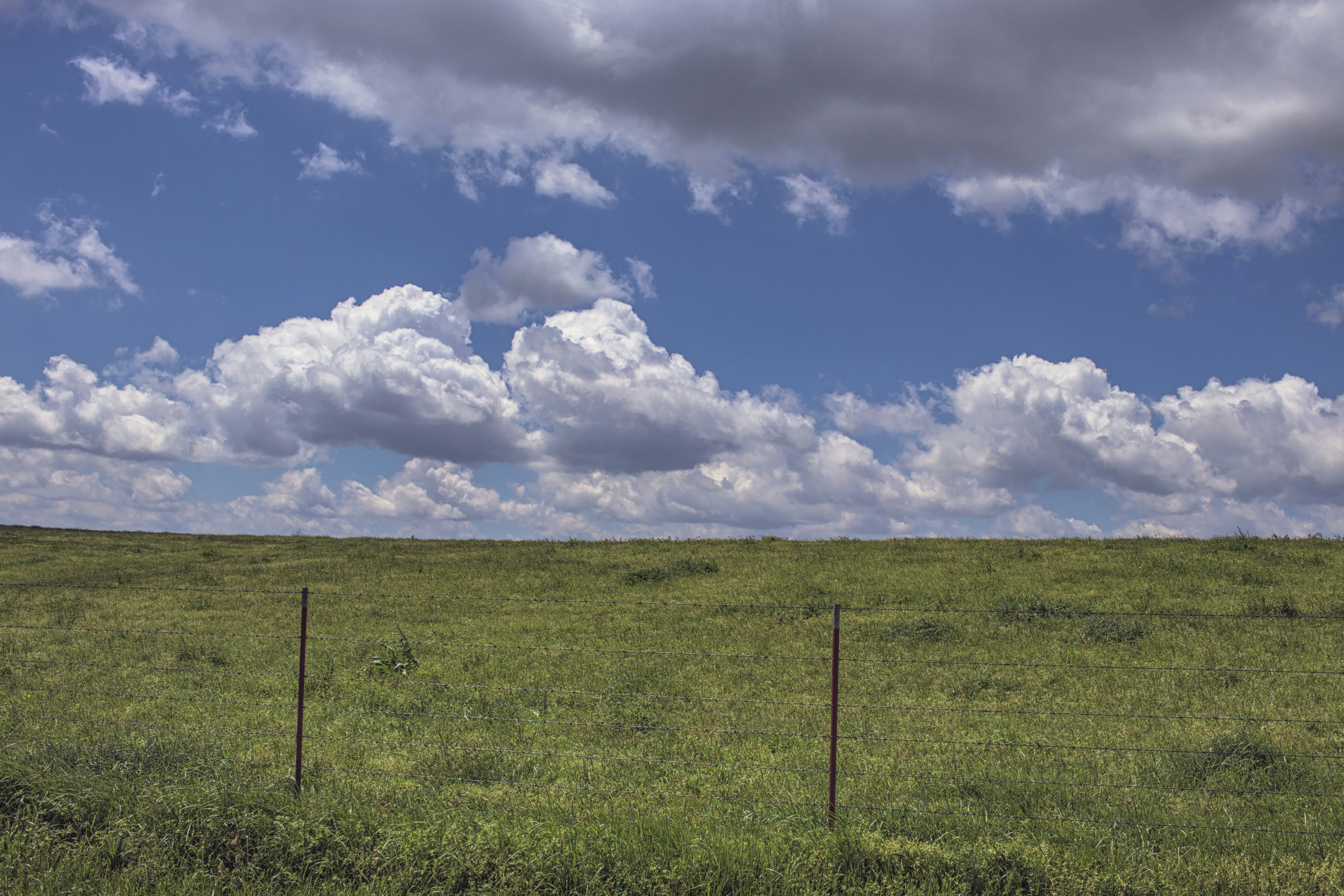 Photo by sikesphotos