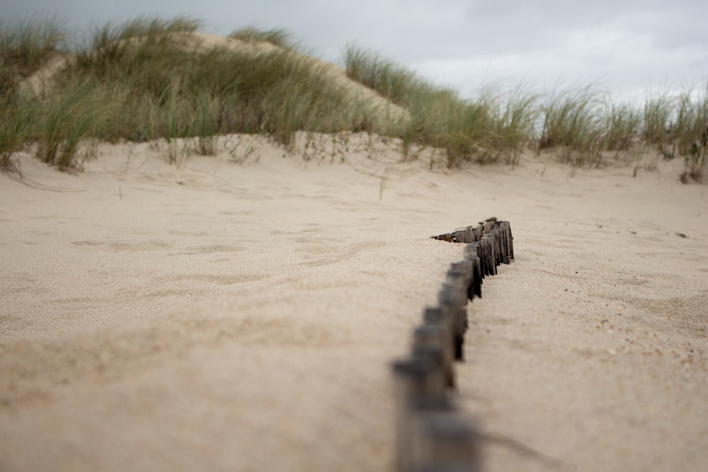 brown wooden fence on brown sand