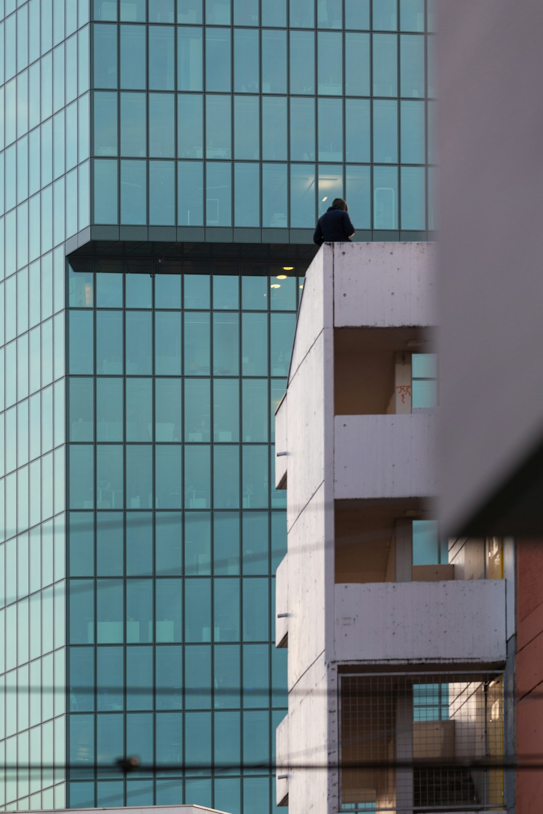 black bird on white concrete building during daytime