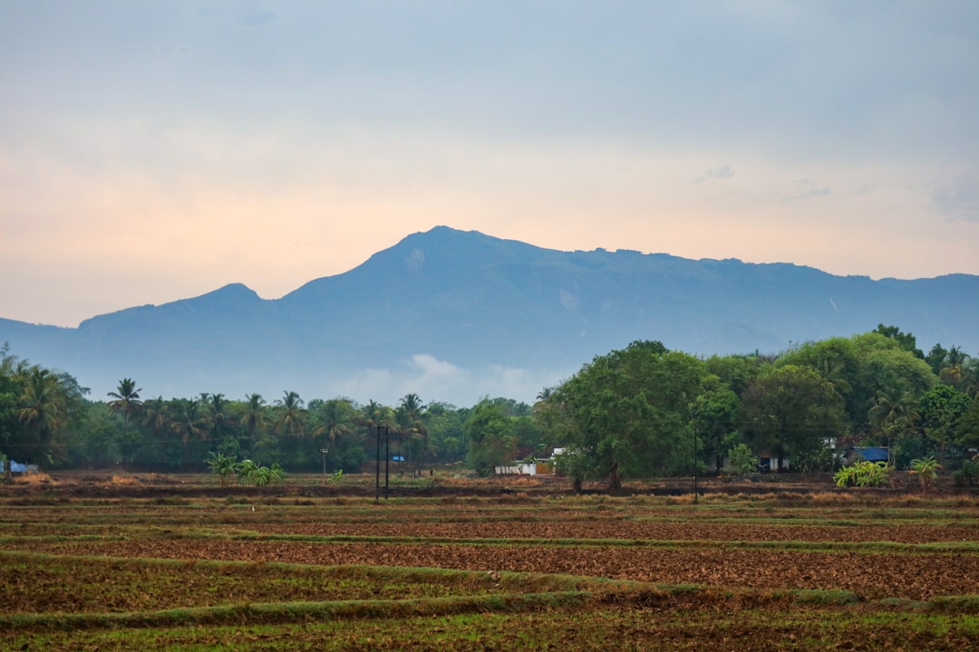 Hill photo spot Kerala Coonoor
